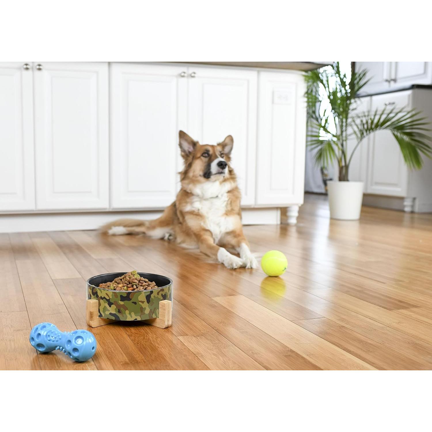 Tazón Grande para Mascotas Nat & Jules 20 cm Camuflaje Militar