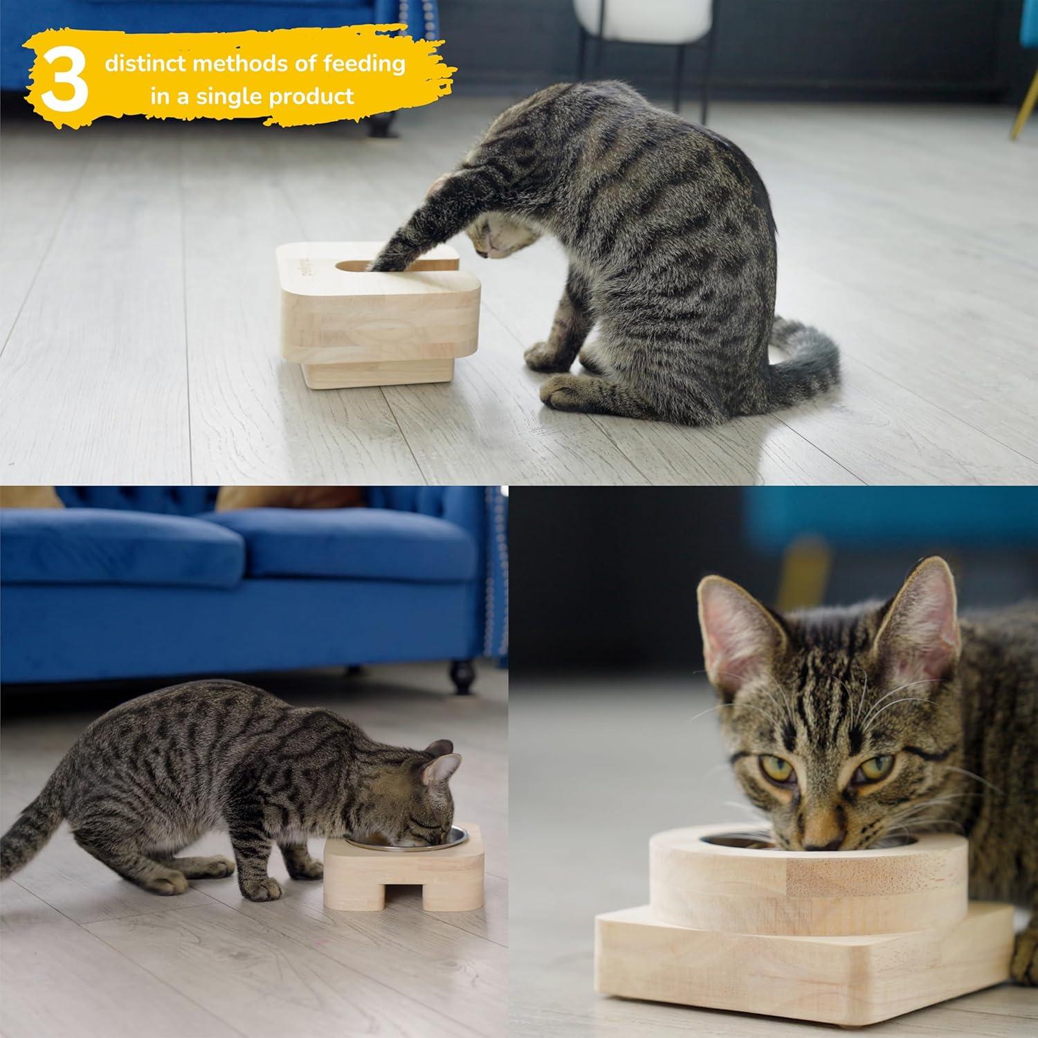 Comedero Interactivo para Gatos Peligrai 3 en 1 Antideslizante