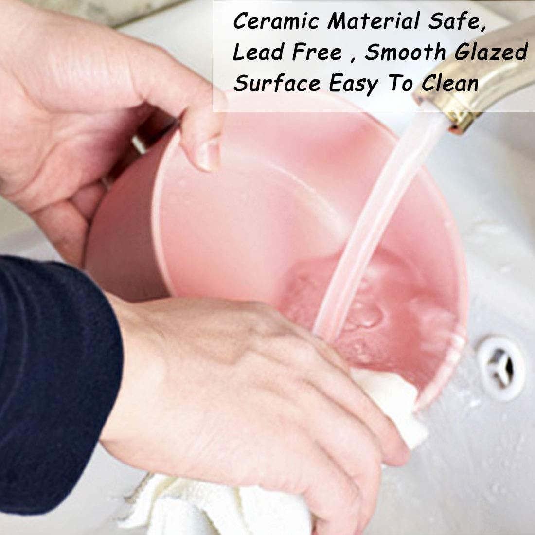 Tazones de Cerámica para Perros y Gatos Petygooing Rosa 400ml