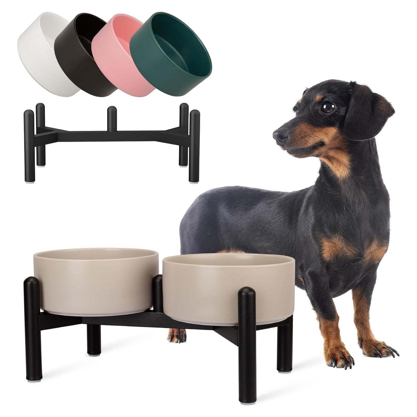 Juego de Cuencos Elevados para Perros PTOBER - Cerámica y Acero Inoxidable