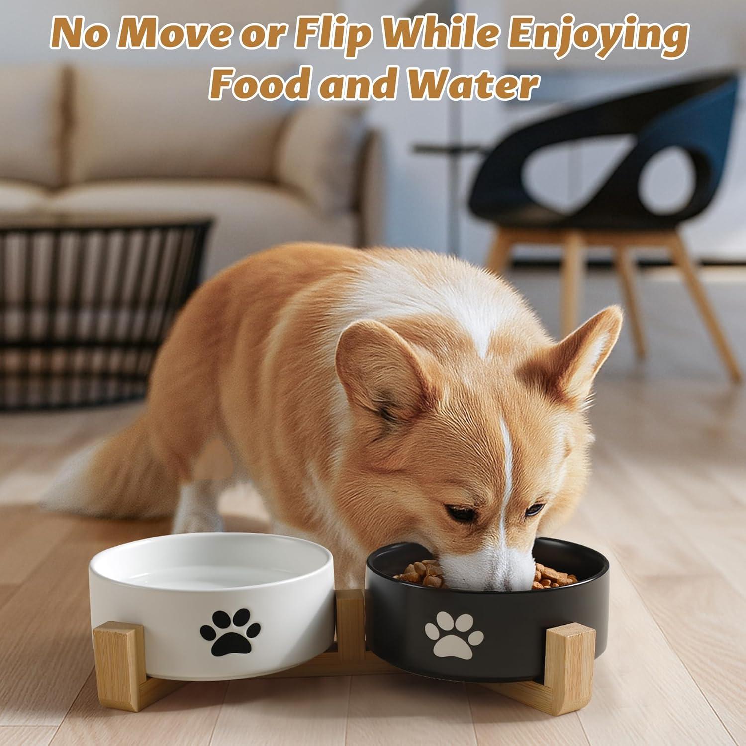 Cuencos de Cerámica Antideslizantes para Perros y Gatos - Kitwinney