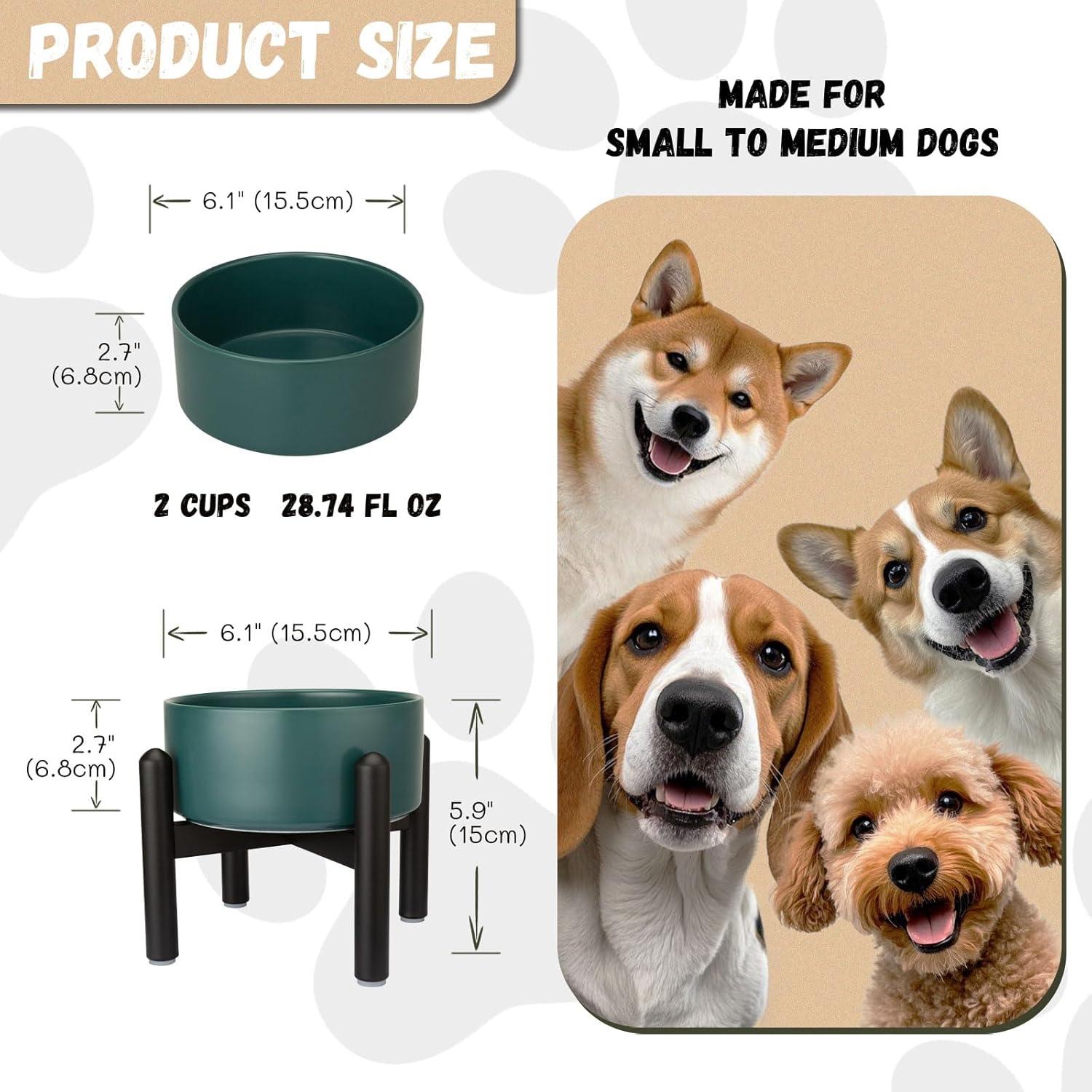 Tazón Elevado para Perros PTOBER Cerámica Verde 15.24 cm 2 Tazas