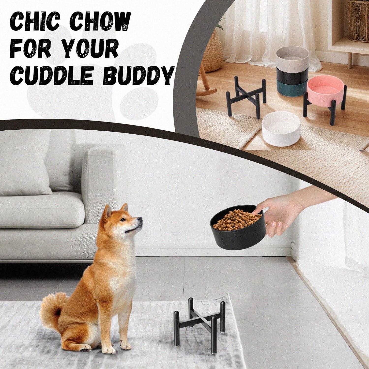 Tazón Elevado para Perros PTOBER Cerámica Verde 15.24 cm 2 Tazas