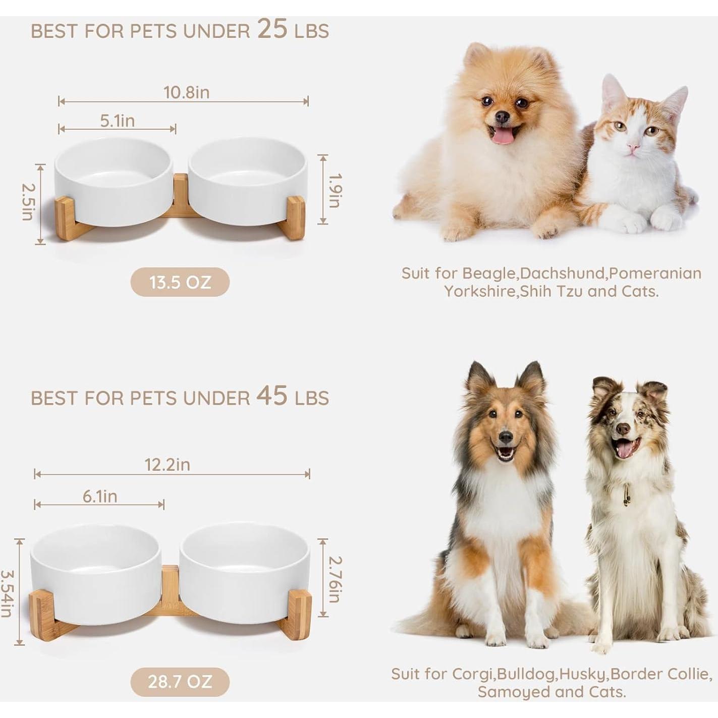 Tazón de Cerámica para Perros y Gatos SpunkyJunky 850 ml Doble