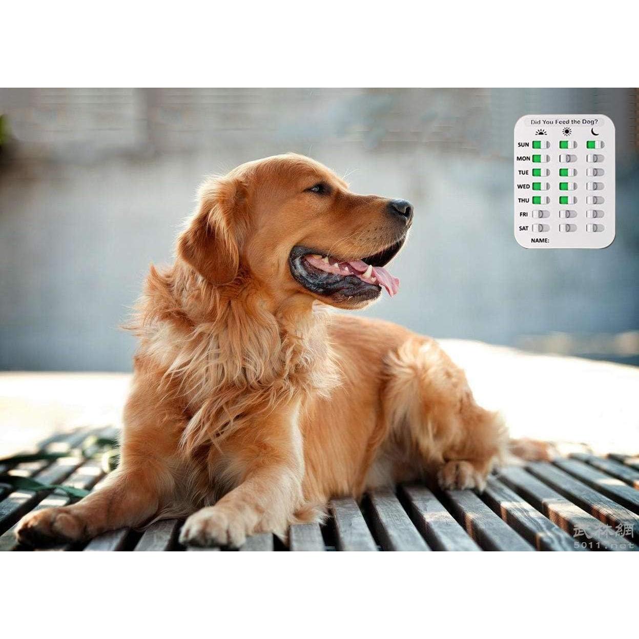 Recordatorio de Alimentación para Mascotas Kwispel - Imán 3 Veces al Día