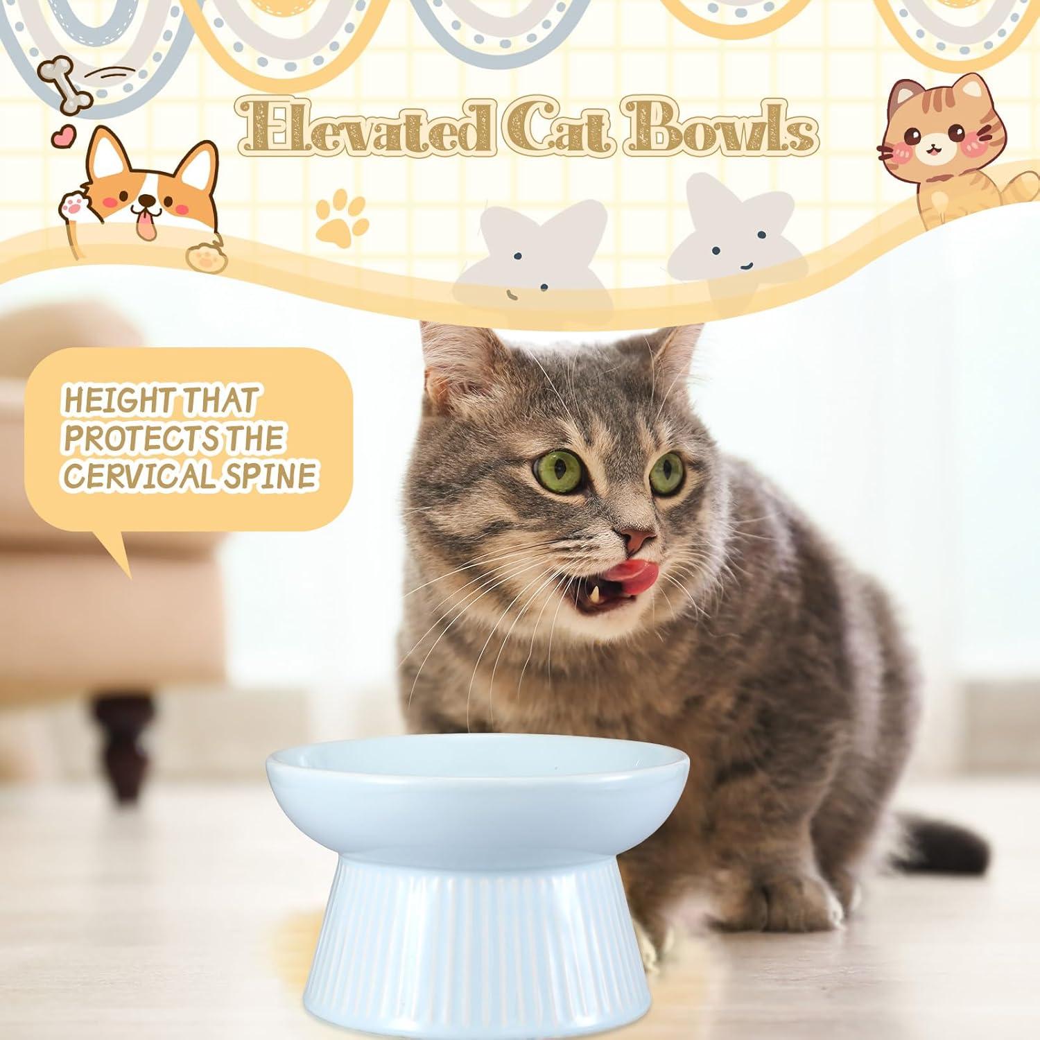 Cuencos Elevados para Gatos Layhit de Cerámica 15x9cm 2 Piezas