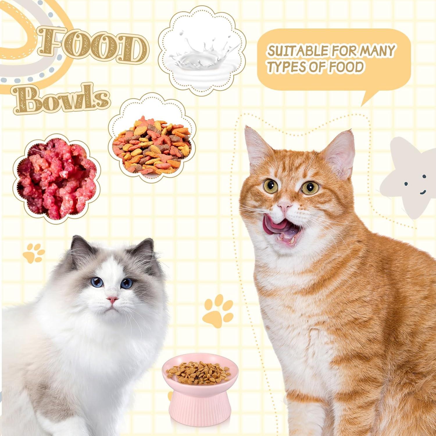 Cuencos Elevados para Gatos Layhit de Cerámica 15x9cm 2 Piezas