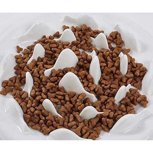 Tazón de Alimentación Lenta Lorde para Gatos Cerámica 22cm