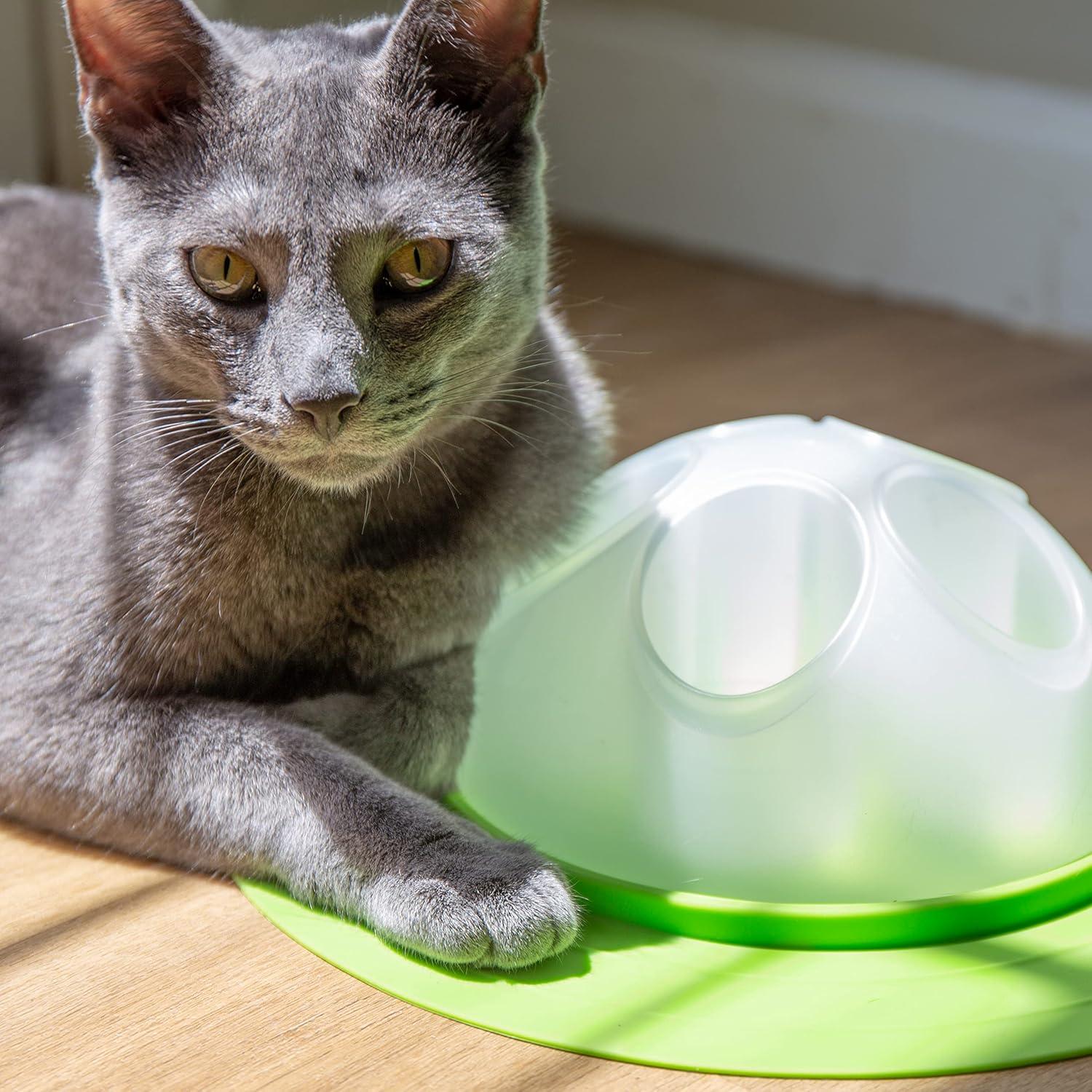 Tazón Interactivo para Gatos Franklin - Alimentador Lento 18.3cm