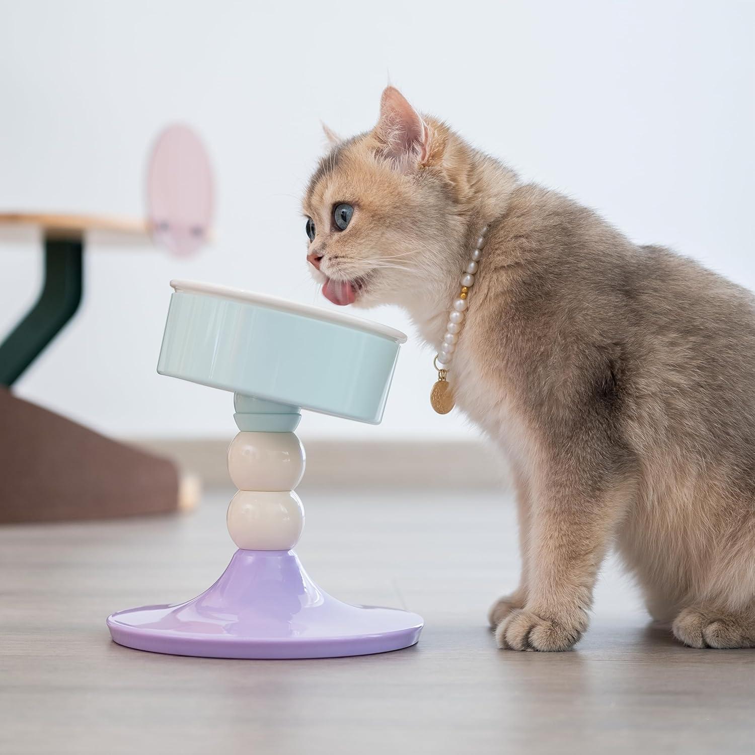 Cuenco Elevado Ajustable para Gatos y Perros Pequeños Petmate