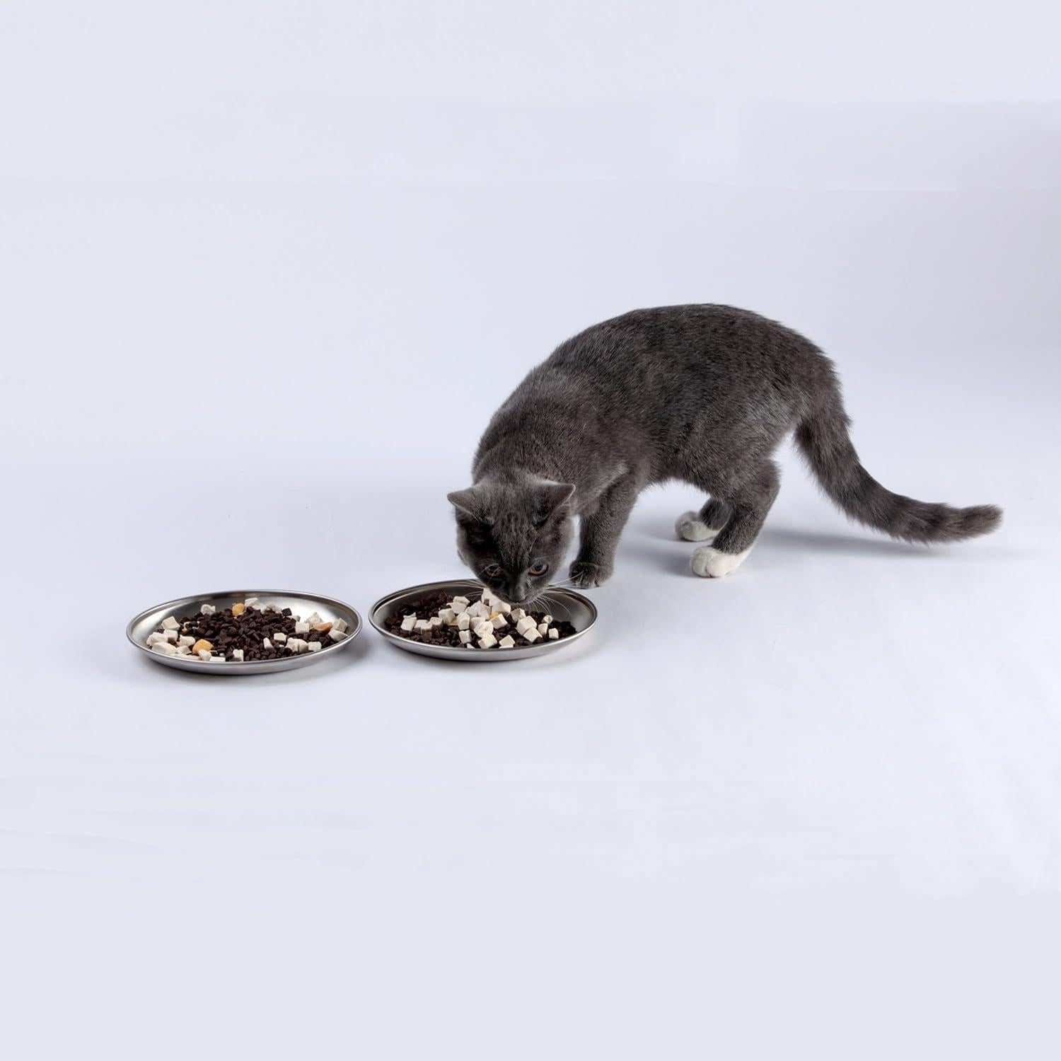 Platos Ovalados Poco Profundos Shengocase 18.5 cm para Gatos