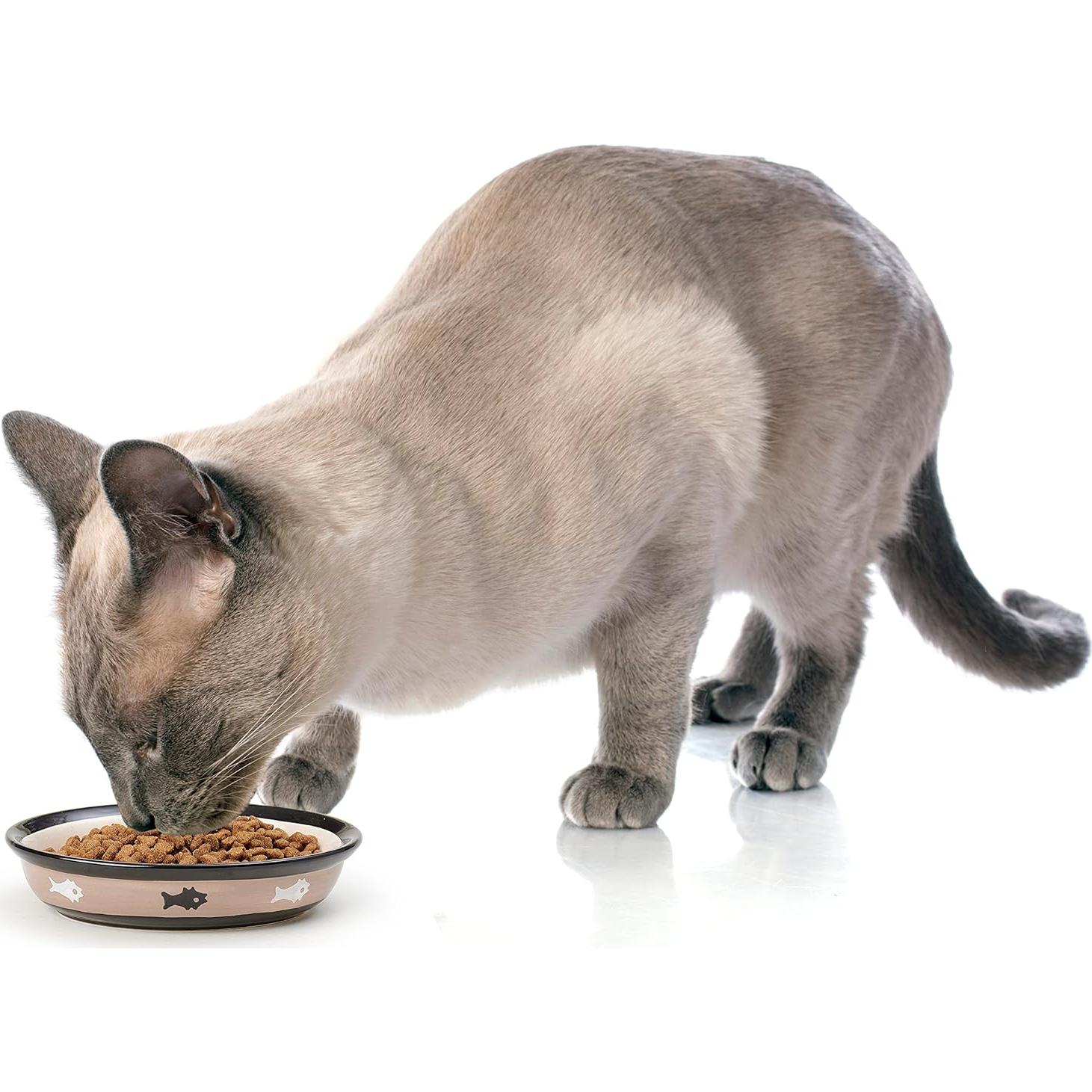 Tazón de Gato Cerámica PetRageous Ovalado 15.88 cm 1 Taza