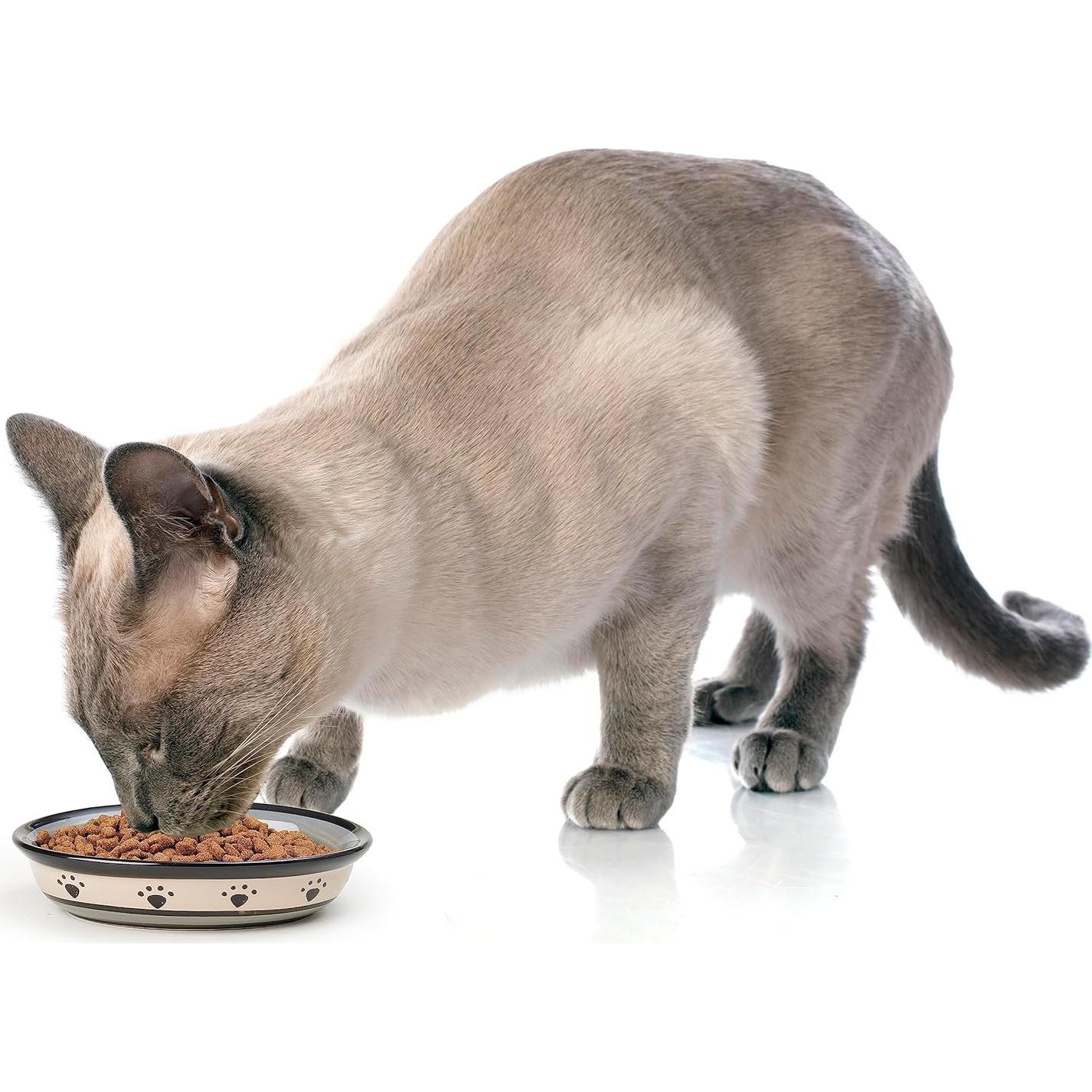 Tazón Ovalado de Cerámica PetRageous 44247 para Gatos 15.88 cm