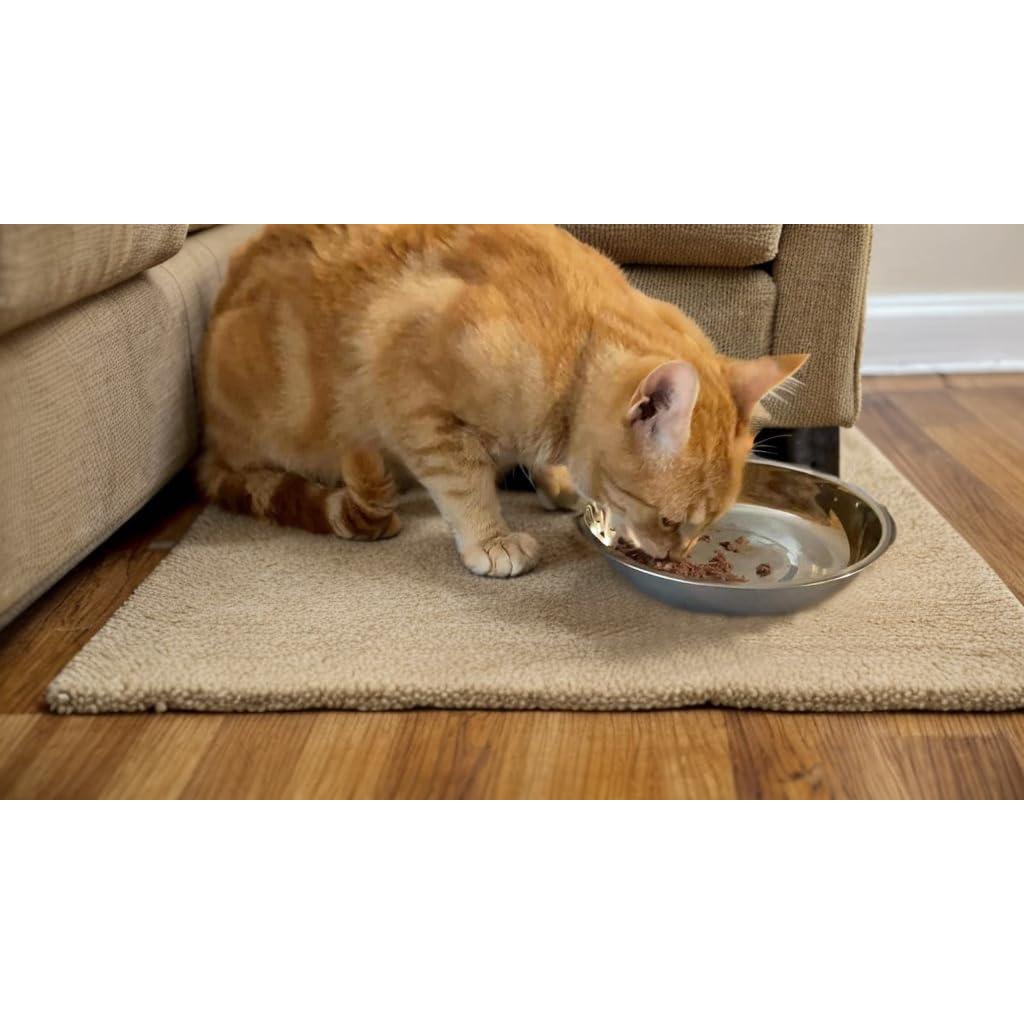 6 Cuencos de Acero Inoxidable Arespark para Gatos 14 cm