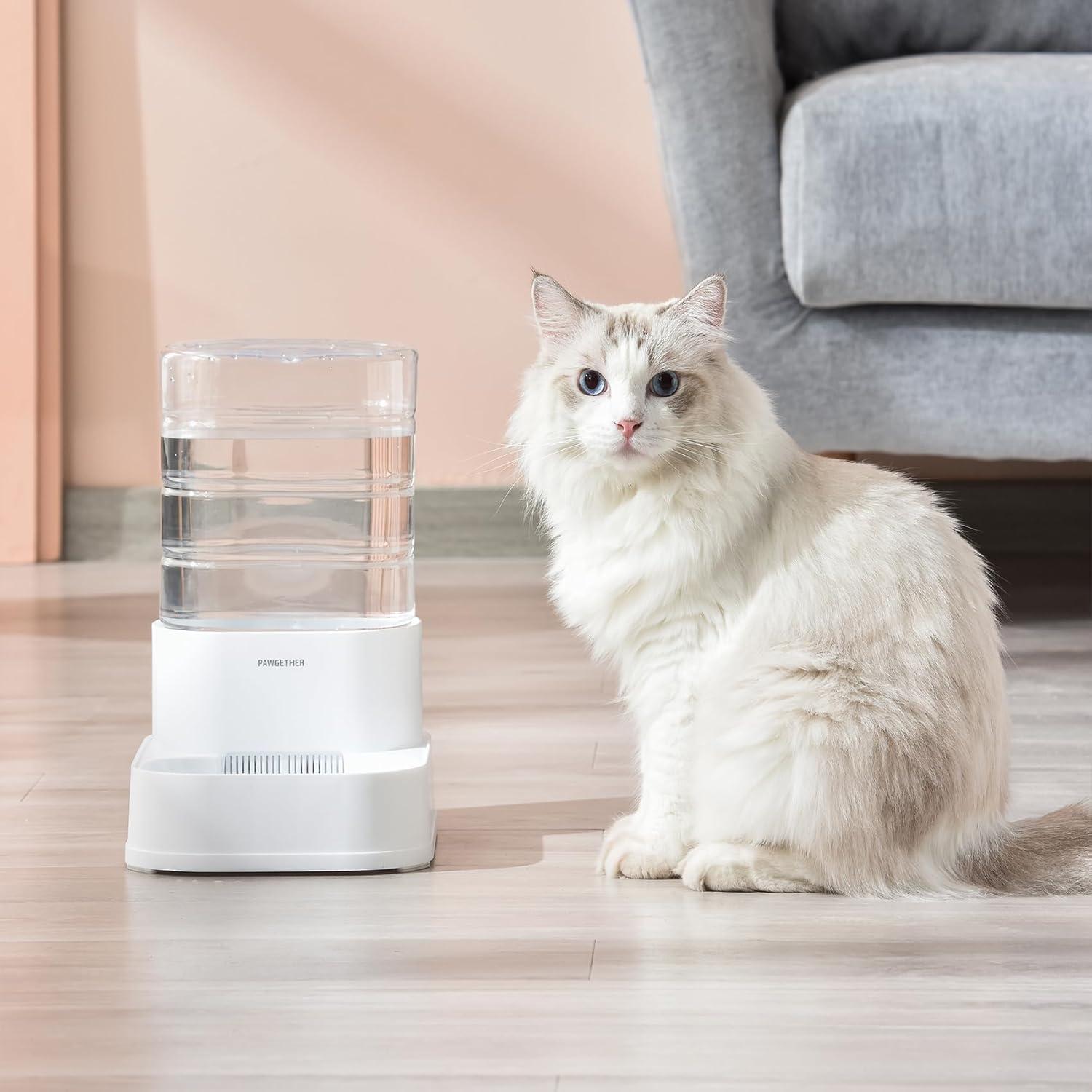 Filtros para Dispensador de Agua PAWGETHER 6 Unidades