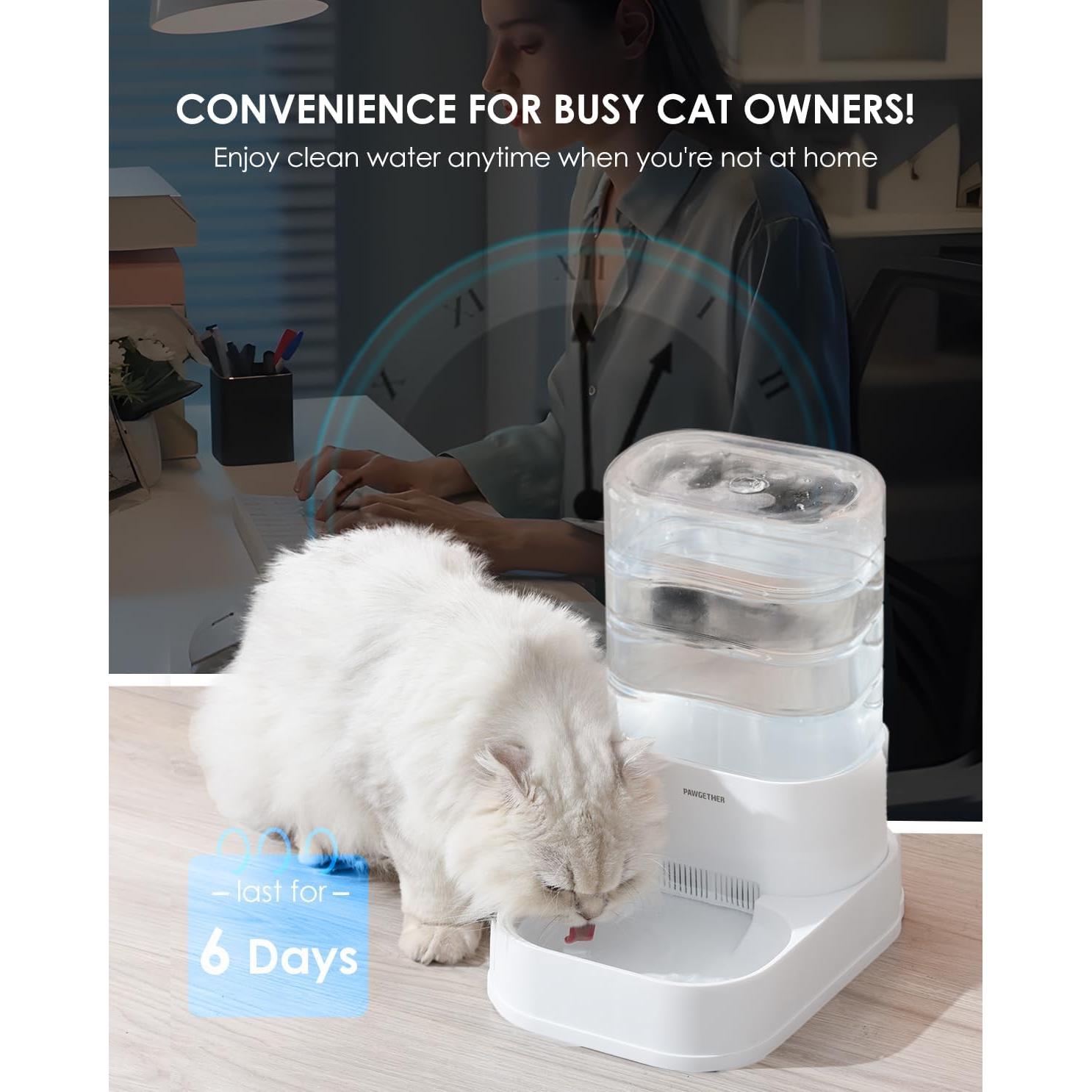 Filtros para Dispensador de Agua PAWGETHER 6 Unidades