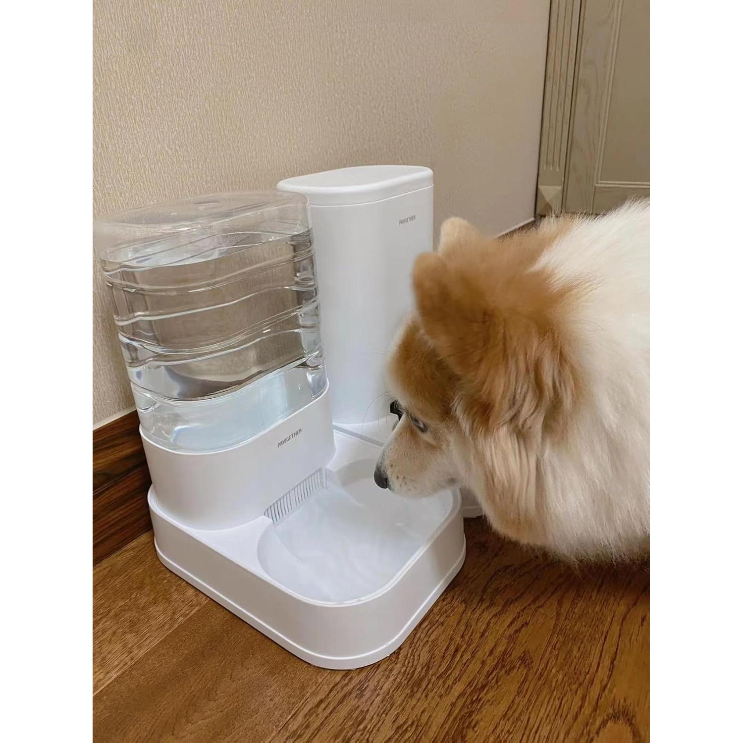 Filtros para Dispensador de Agua PAWGETHER 6 Unidades