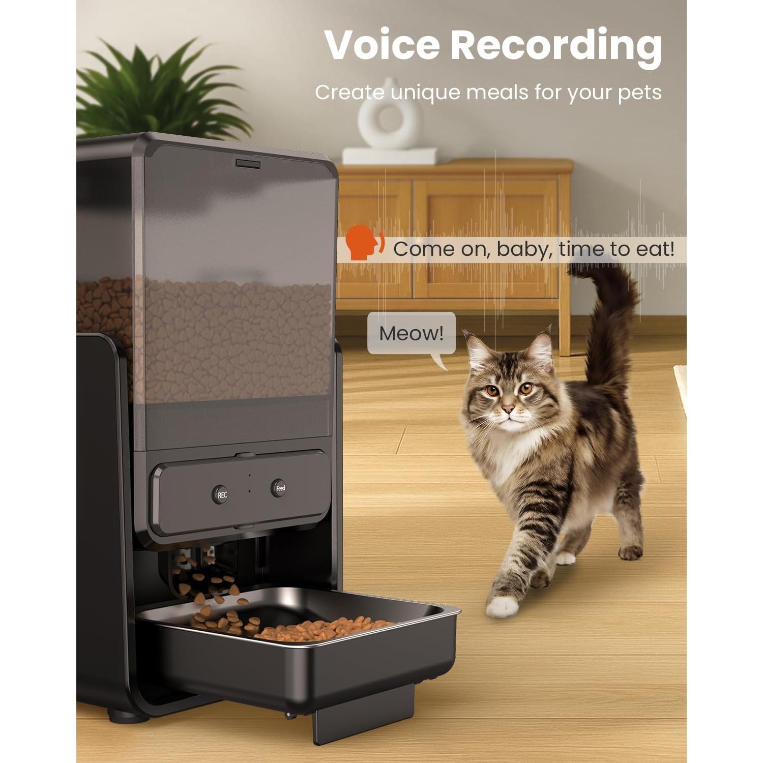 Comedero Automático para Gatos CityFlee WiFi 5G 5L Doble Cuenco