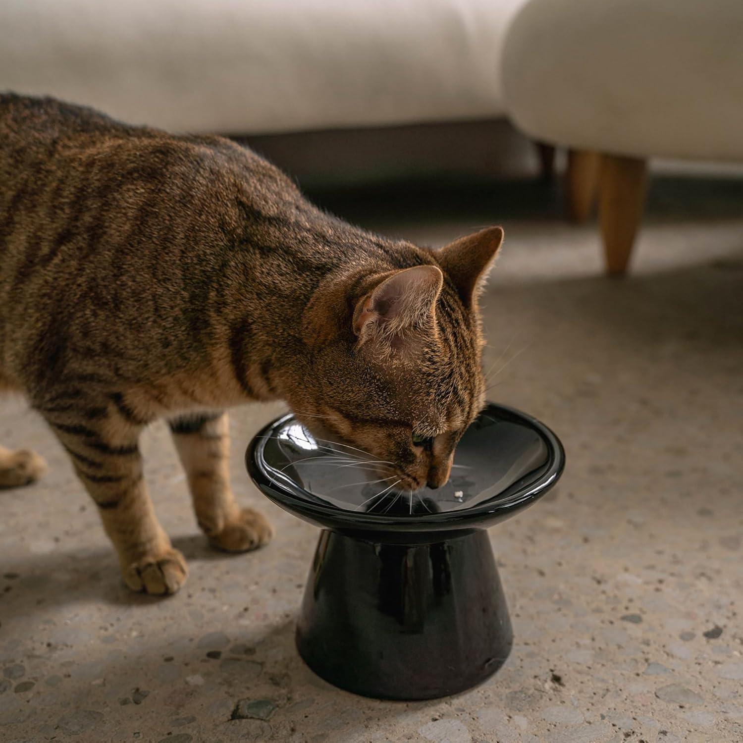 Tazón Cerámico para Gatos Dexypaws - Negro - 221.8g