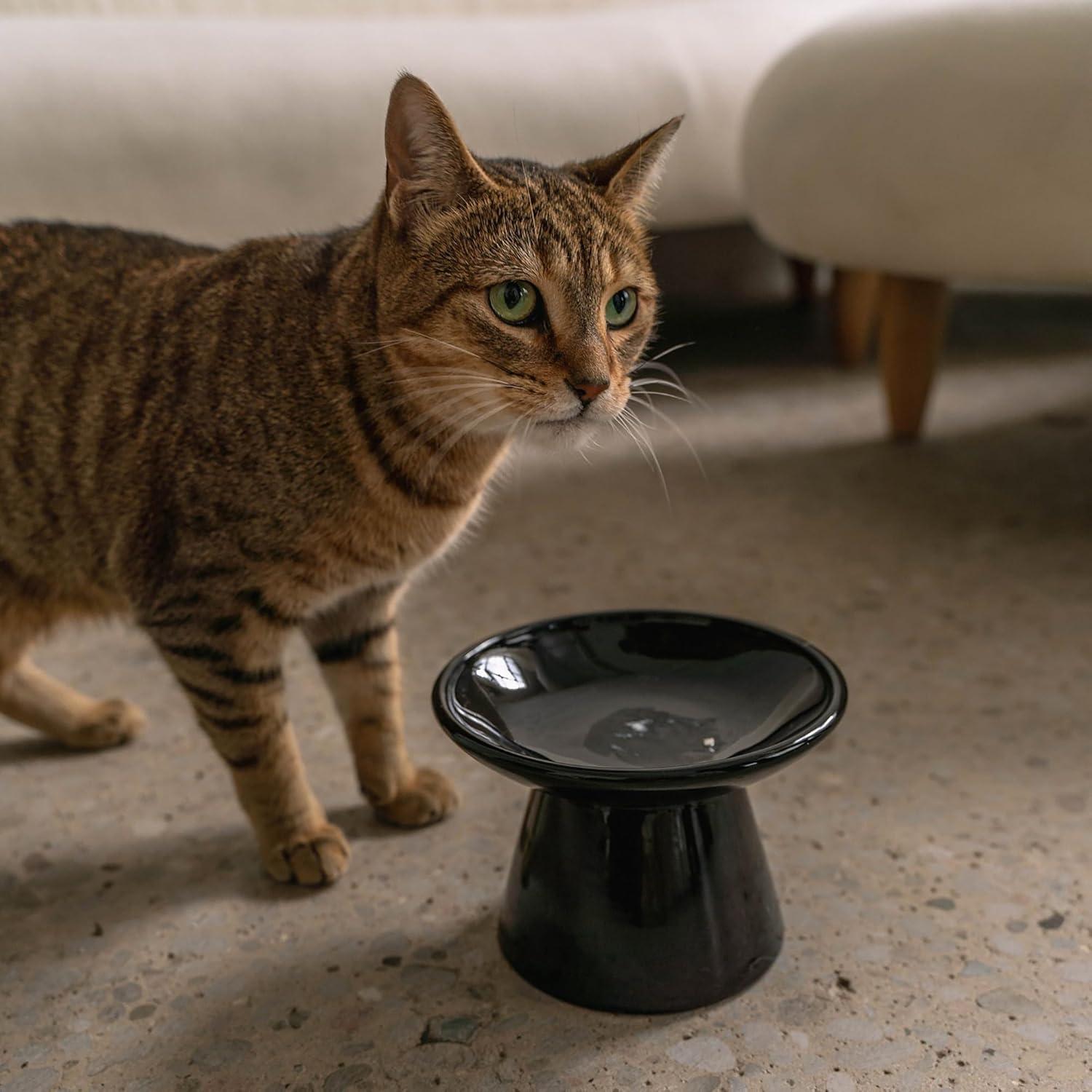 Tazón Cerámico para Gatos Dexypaws - Negro - 221.8g