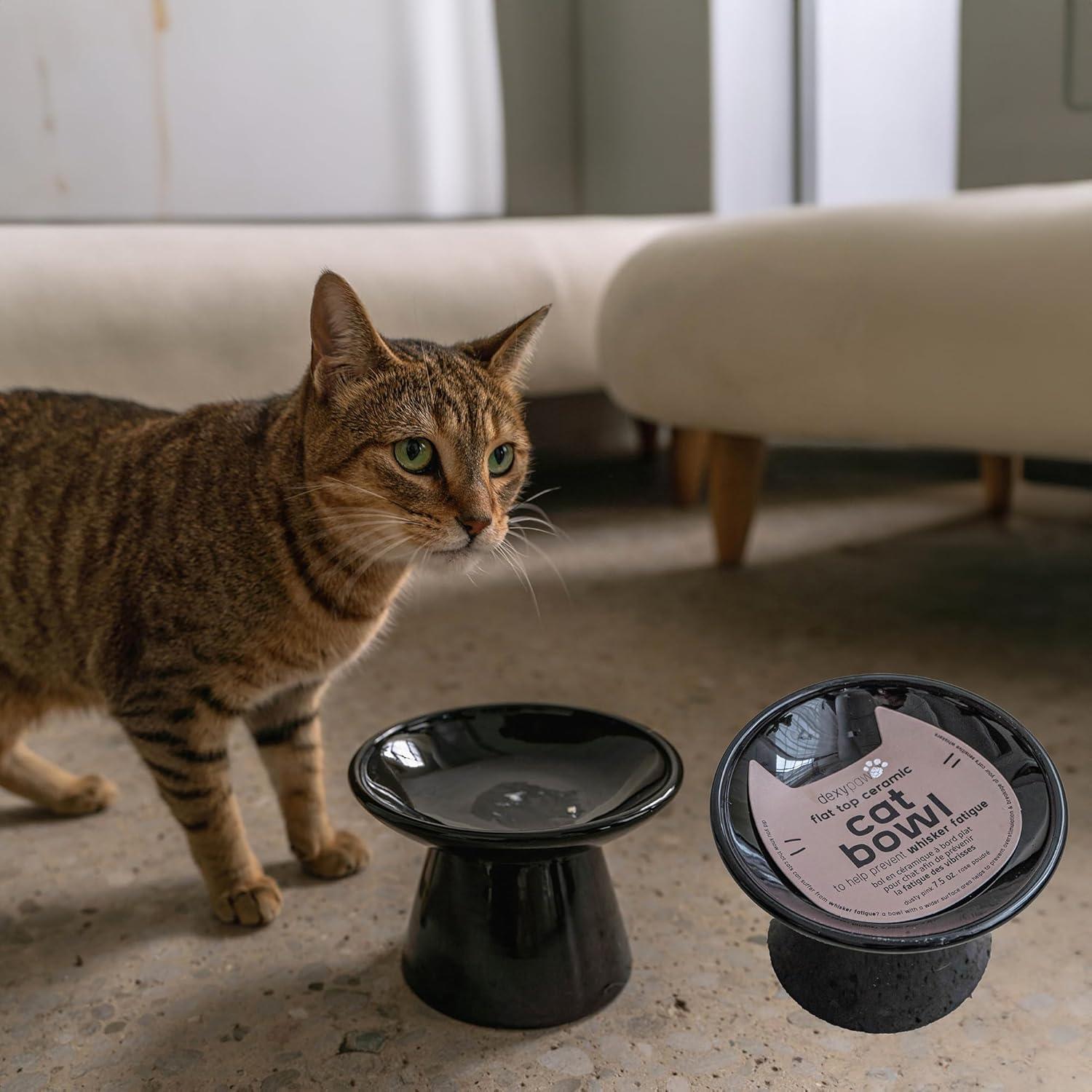 Tazón Cerámico para Gatos Dexypaws - Negro - 221.8g