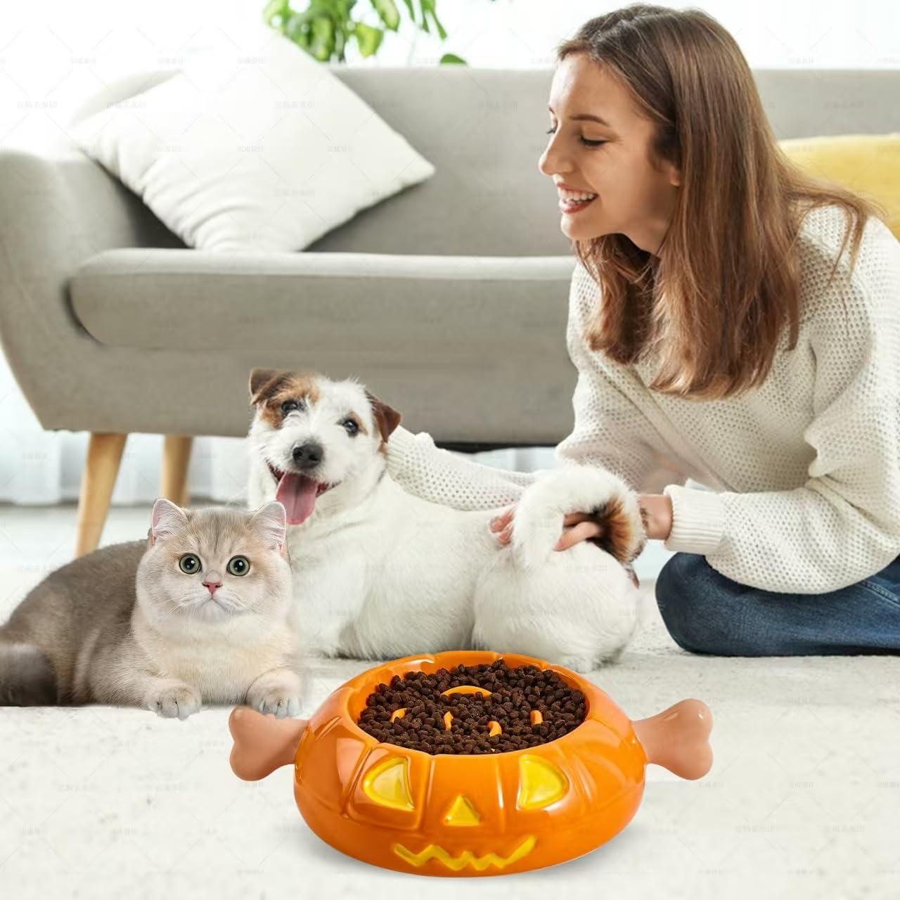 Cuenco Alimentador Lento para Perros Aquainno Calabaza 1.5 Tazas