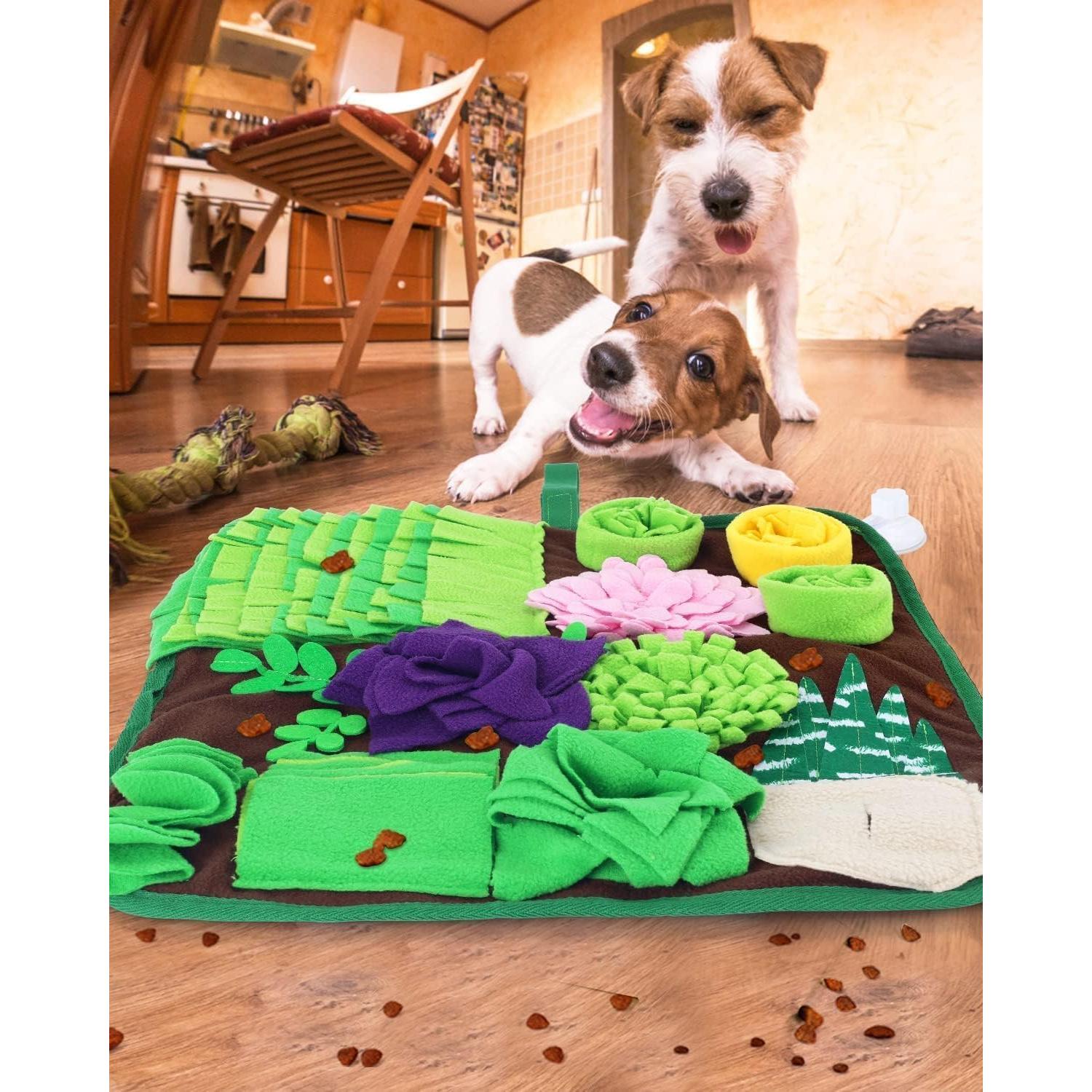 Alfombra de Olfato CiyvoLyeen 42x42 cm para Perros y Gatos
