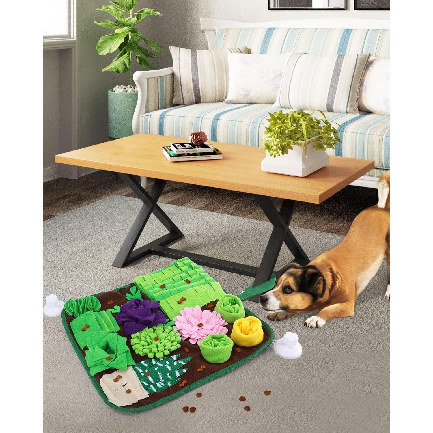 Alfombra de Olfato CiyvoLyeen 42x42 cm para Perros y Gatos