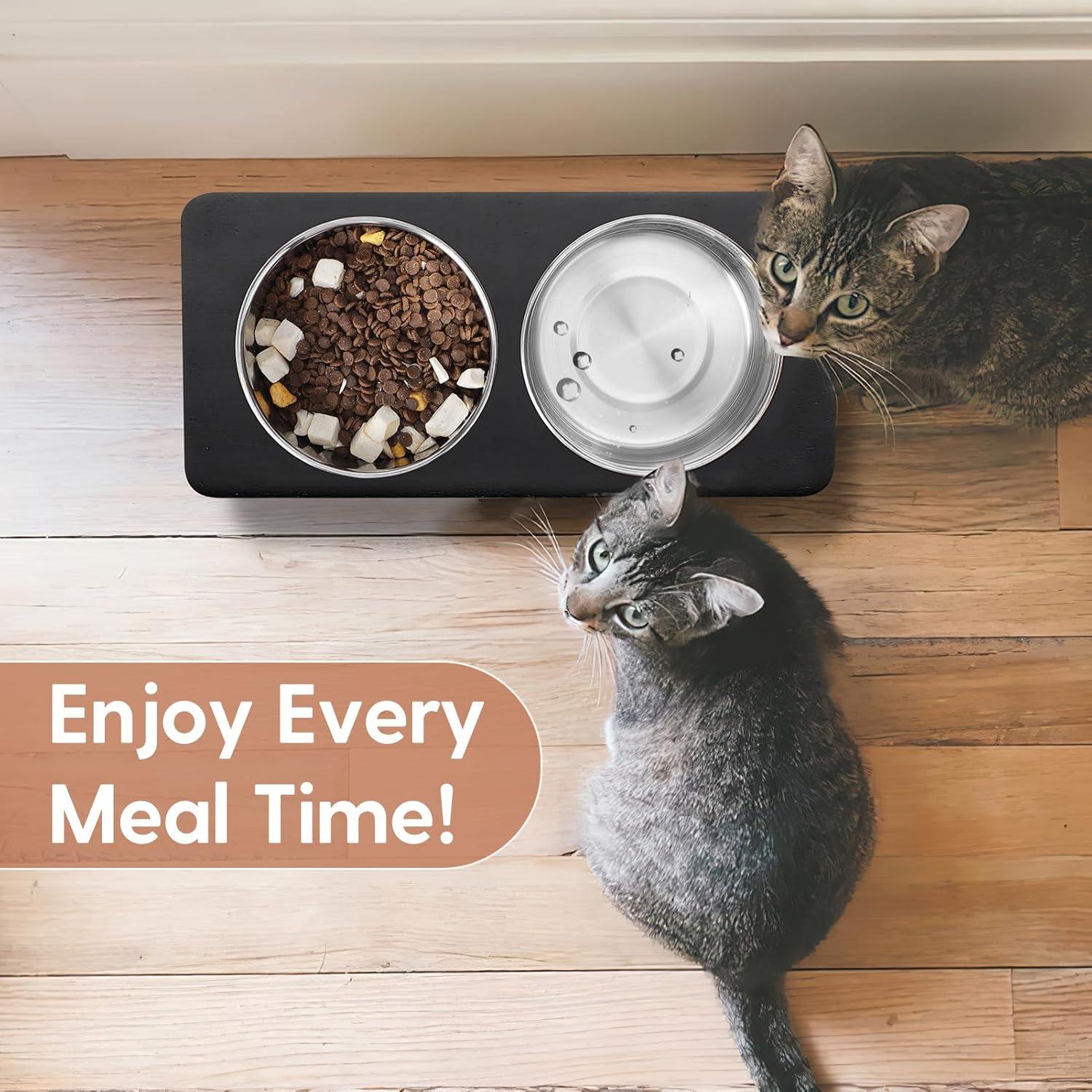 Cuencos Elevados para Gatos Siooko, Acero Inoxidable, Antivómito