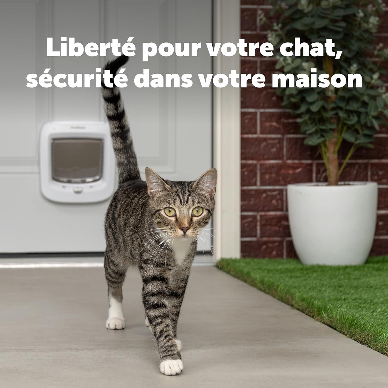 Puerta para Gatos Microchip PetSafe - Acceso RFID hasta 40 Mascotas