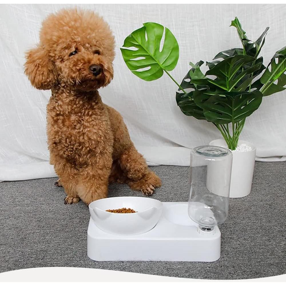 Juego de Cuencos para Gatos Marchul con Dispensador de Agua 37x27cm