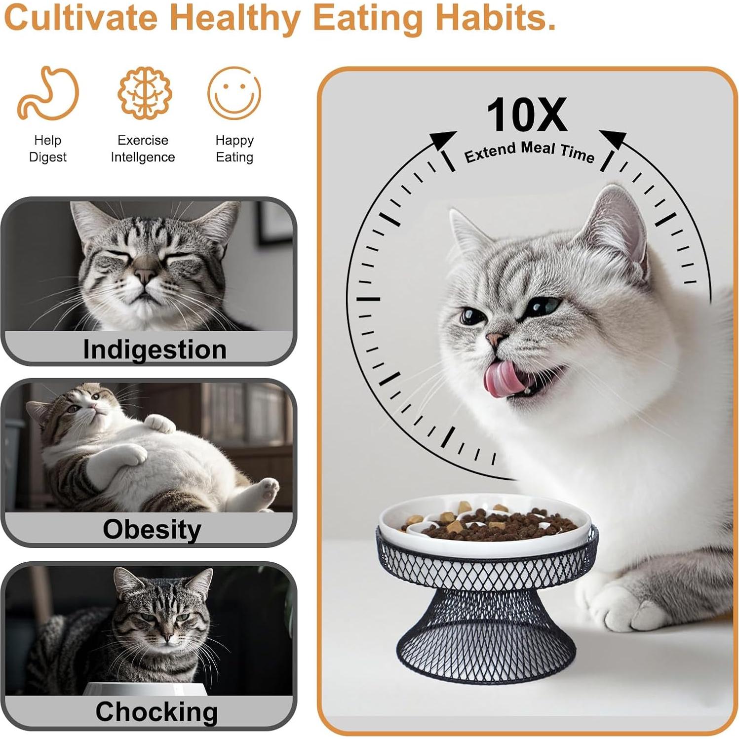 Tazón Elevado de Cerámica para Gatos Trundisan 15.8cm