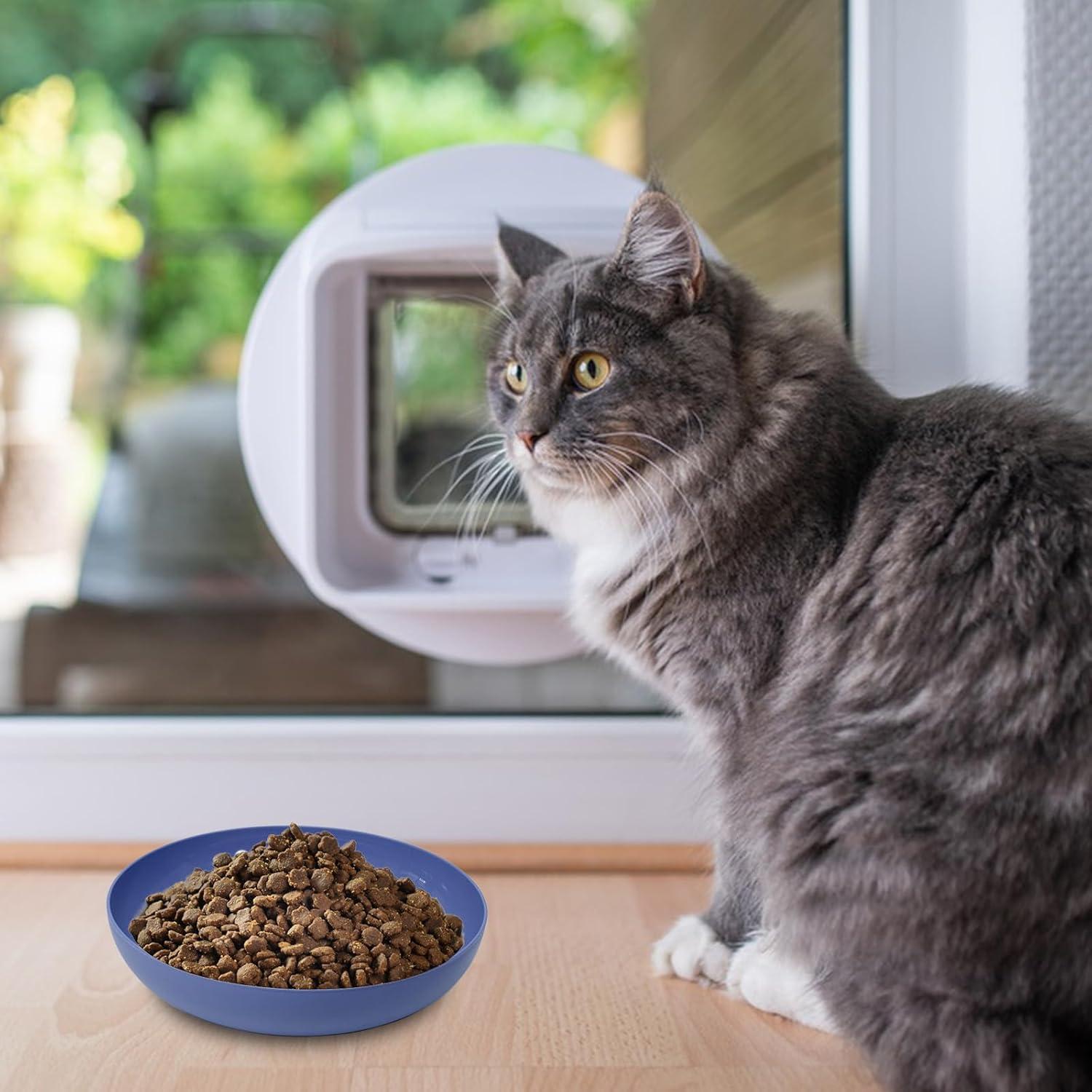 8 Platos para Gatos de Paja de Trigo - Antifatiga Bigotes