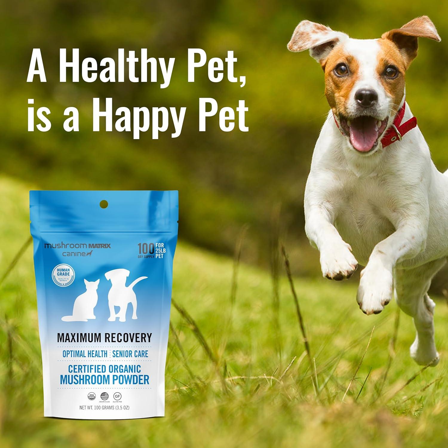 Suplemento de Hongo Orgánico Om Mushroom 100g para Perros y Gatos