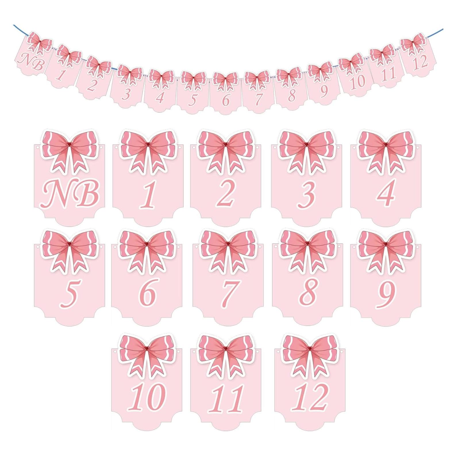 Banner Fotográfico 12 Meses Bebé Moño Rosa - Remerabel