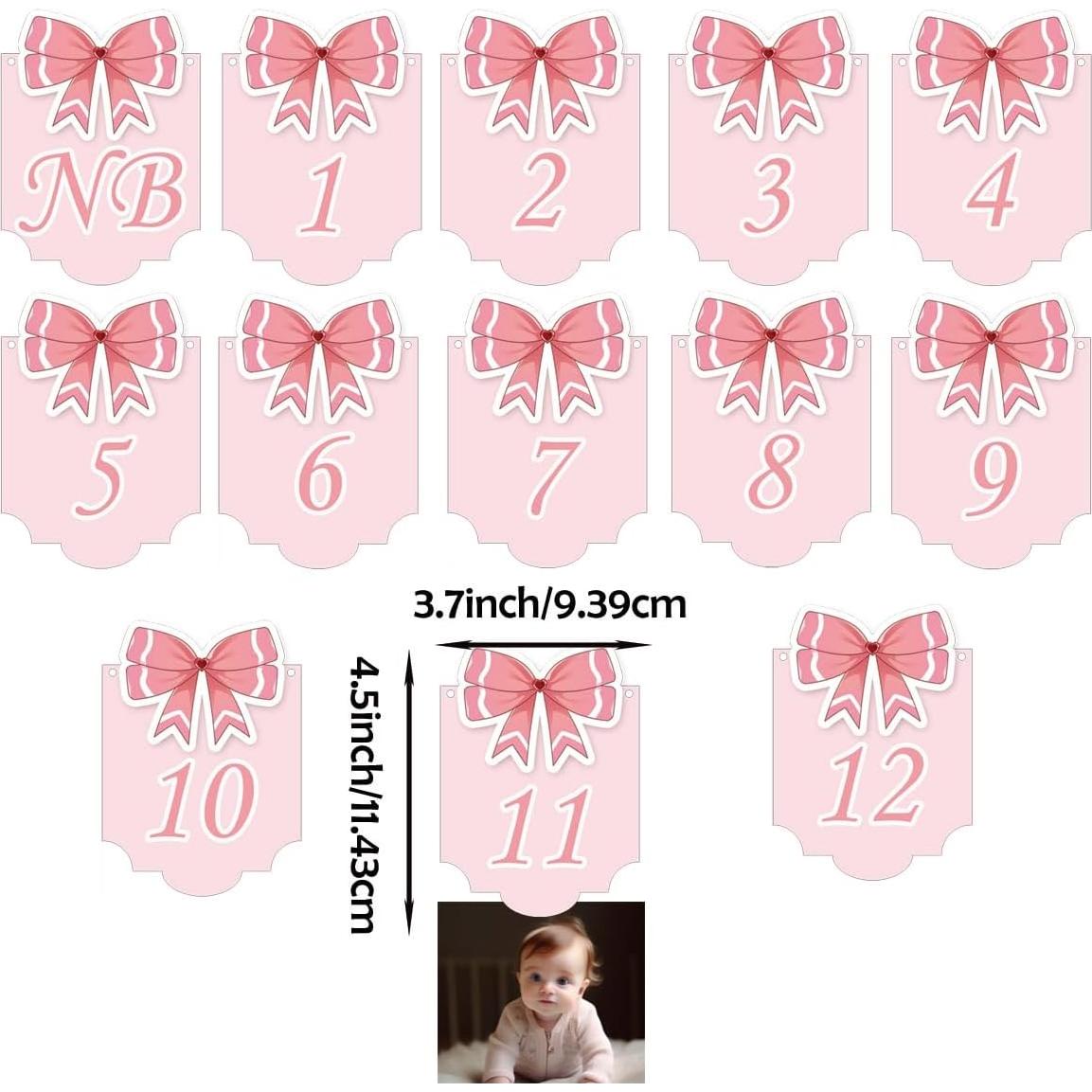 Banner Fotográfico 12 Meses Bebé Moño Rosa - Remerabel