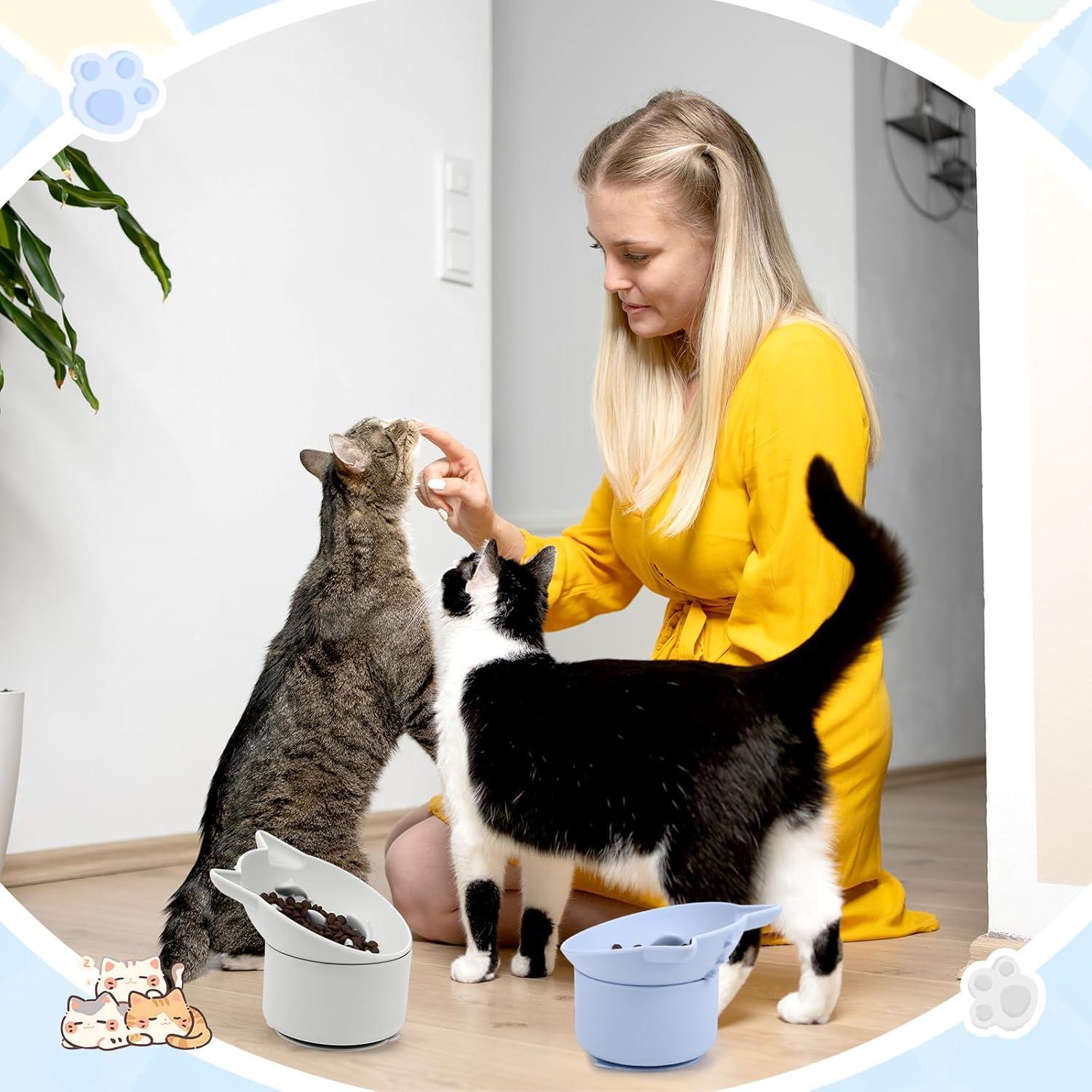 Comederos Lentos de Silicona Funnymoom para Gatos - 2 Piezas