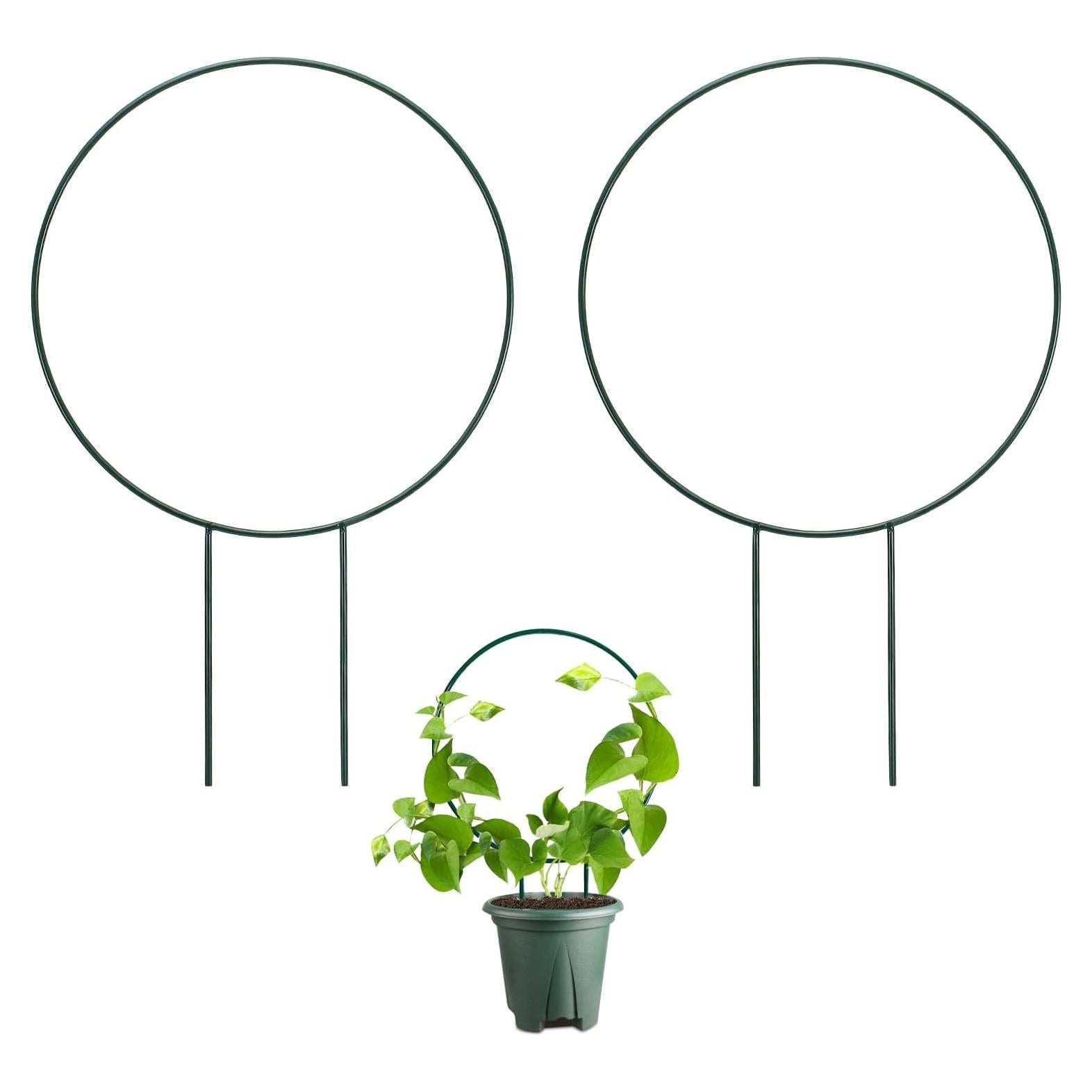 Paquete de 2 enrejados redondos Huakaile para plantas 35x22.5cm