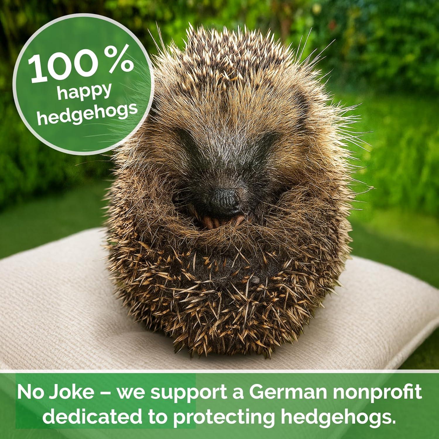 2 Pelotas de Habilidad DBT Espinosas MySkills4Life 47mm Negro