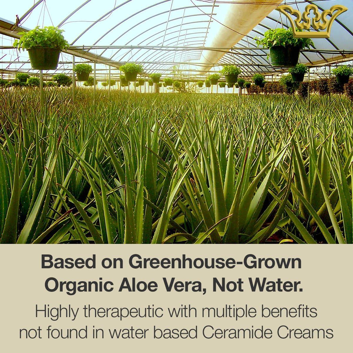 Crema Hidratante de Ceramida A17 Gunilla 56.7 g Vegana