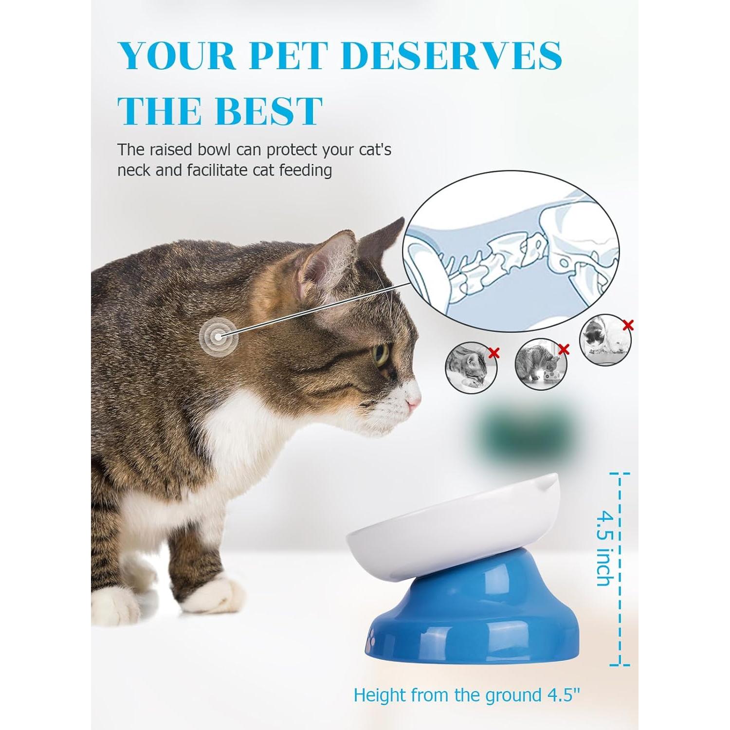 Cuenco Cerámico Elevado para Gatos Y YHY Azul 12.7cm