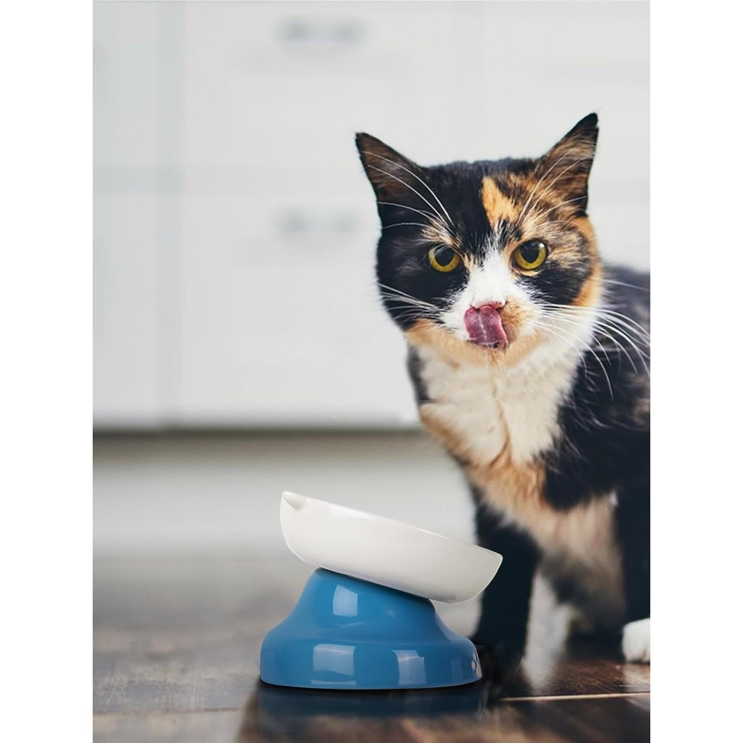 Cuenco Cerámico Elevado para Gatos Y YHY Azul 12.7cm