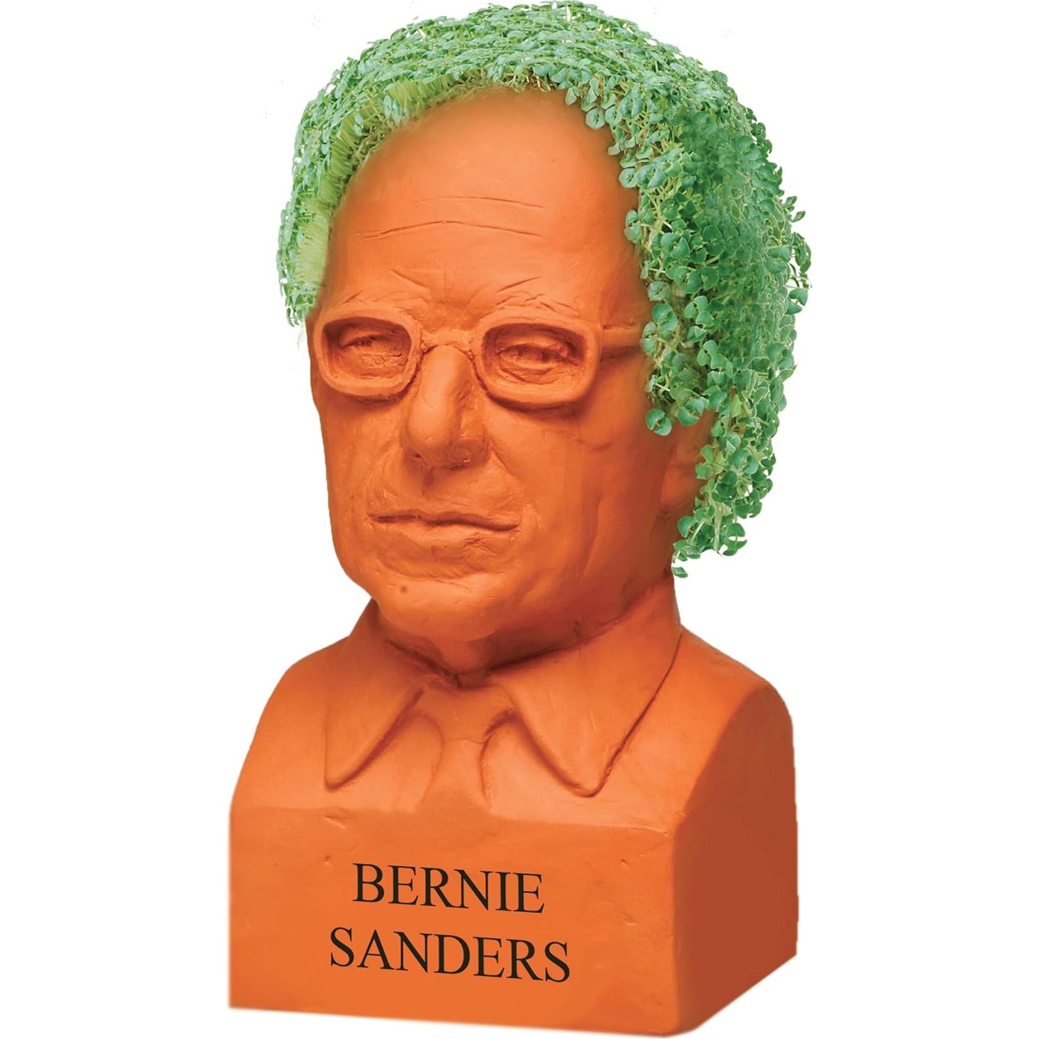 Chia Pet Bernie Sanders - Maceta Cerámica con Semillas