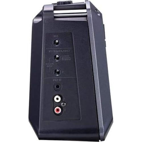 Amplificador Estéreo Portátil Roland MOBILE CUBE 5W Batería