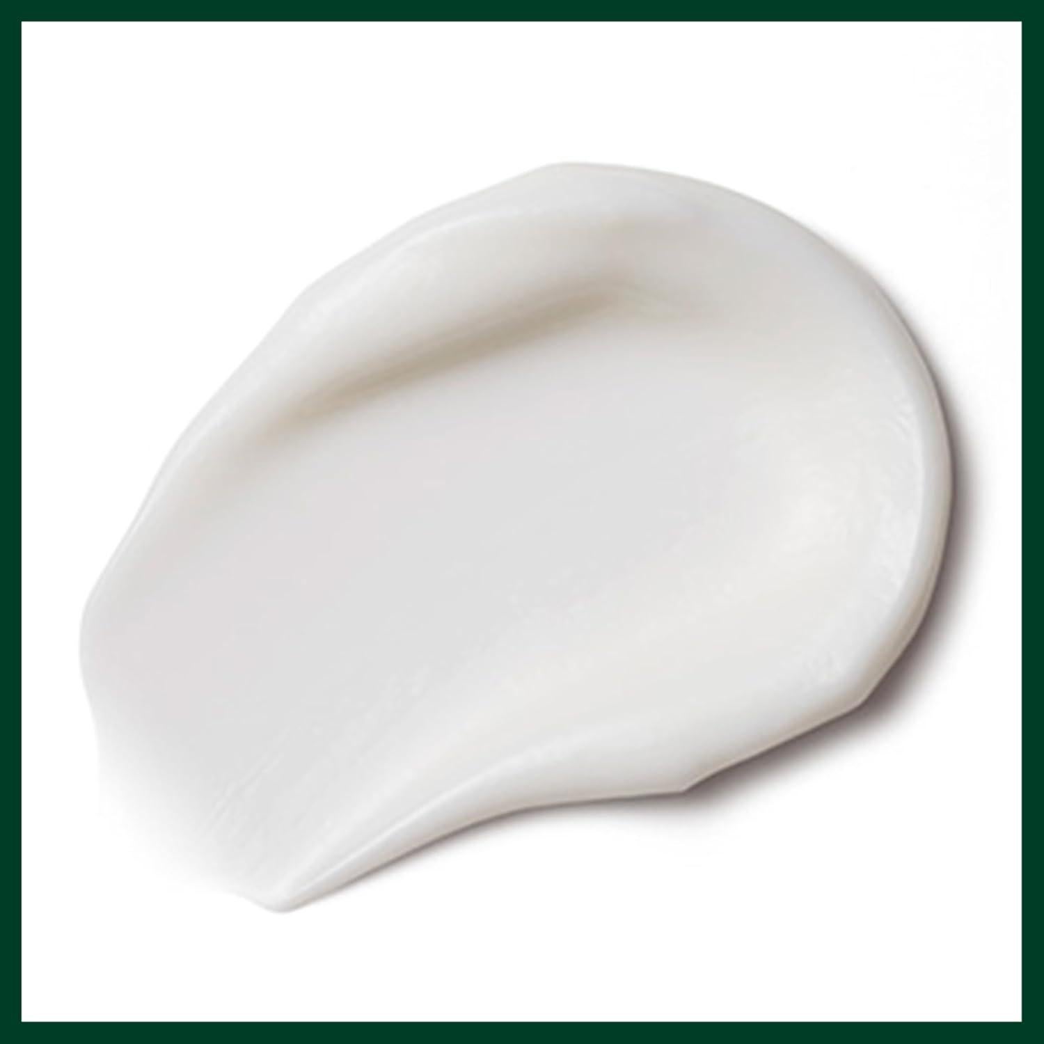 Mascarilla Hidratante Ligera Aveda Nutriplenish 25 ml