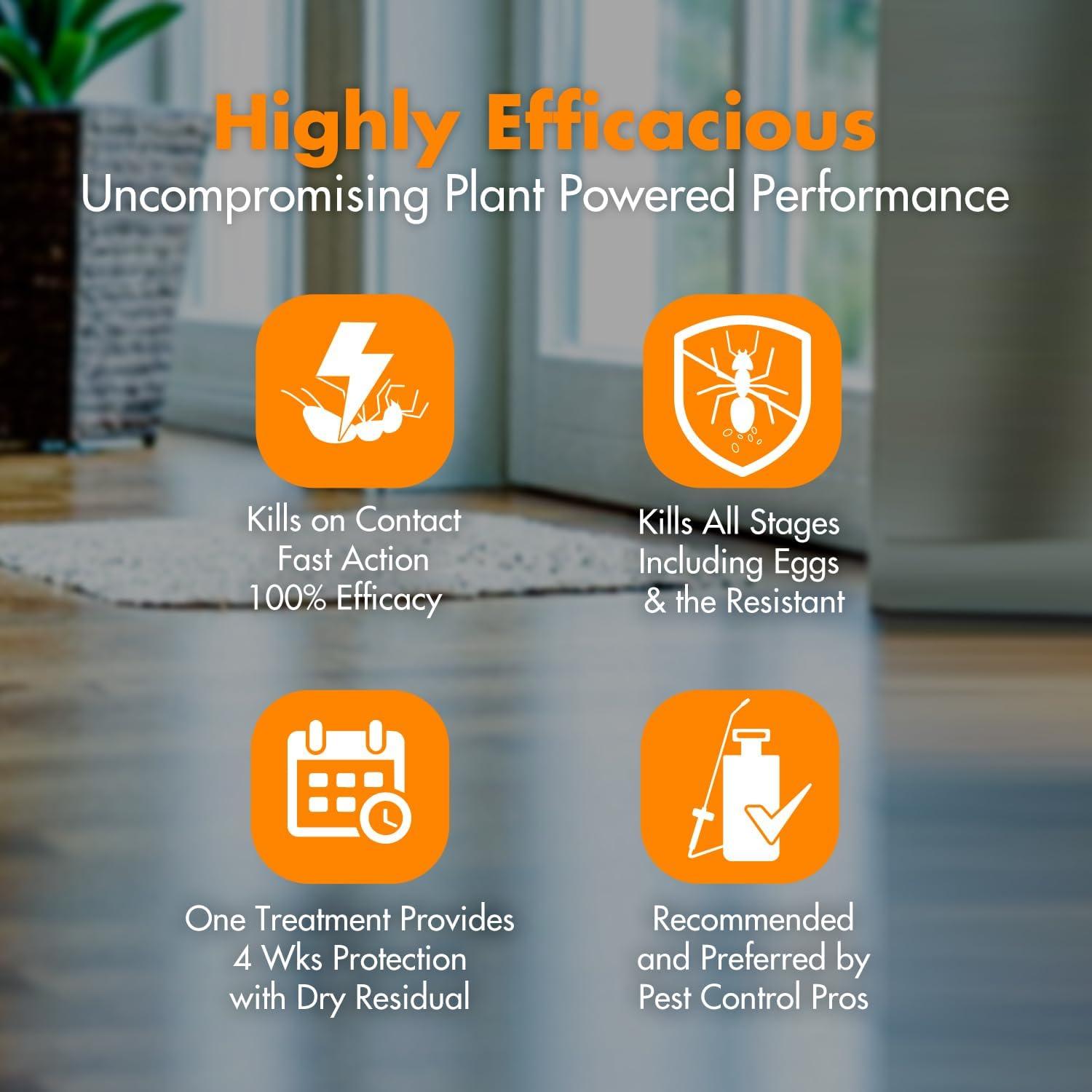 EcoVenger Asesino de Hormigas 480 ml - Natural y Efectivo