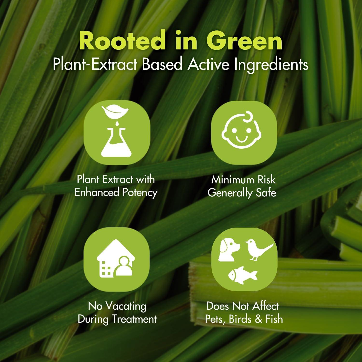 EcoVenger Asesino de Hormigas 480 ml - Natural y Efectivo