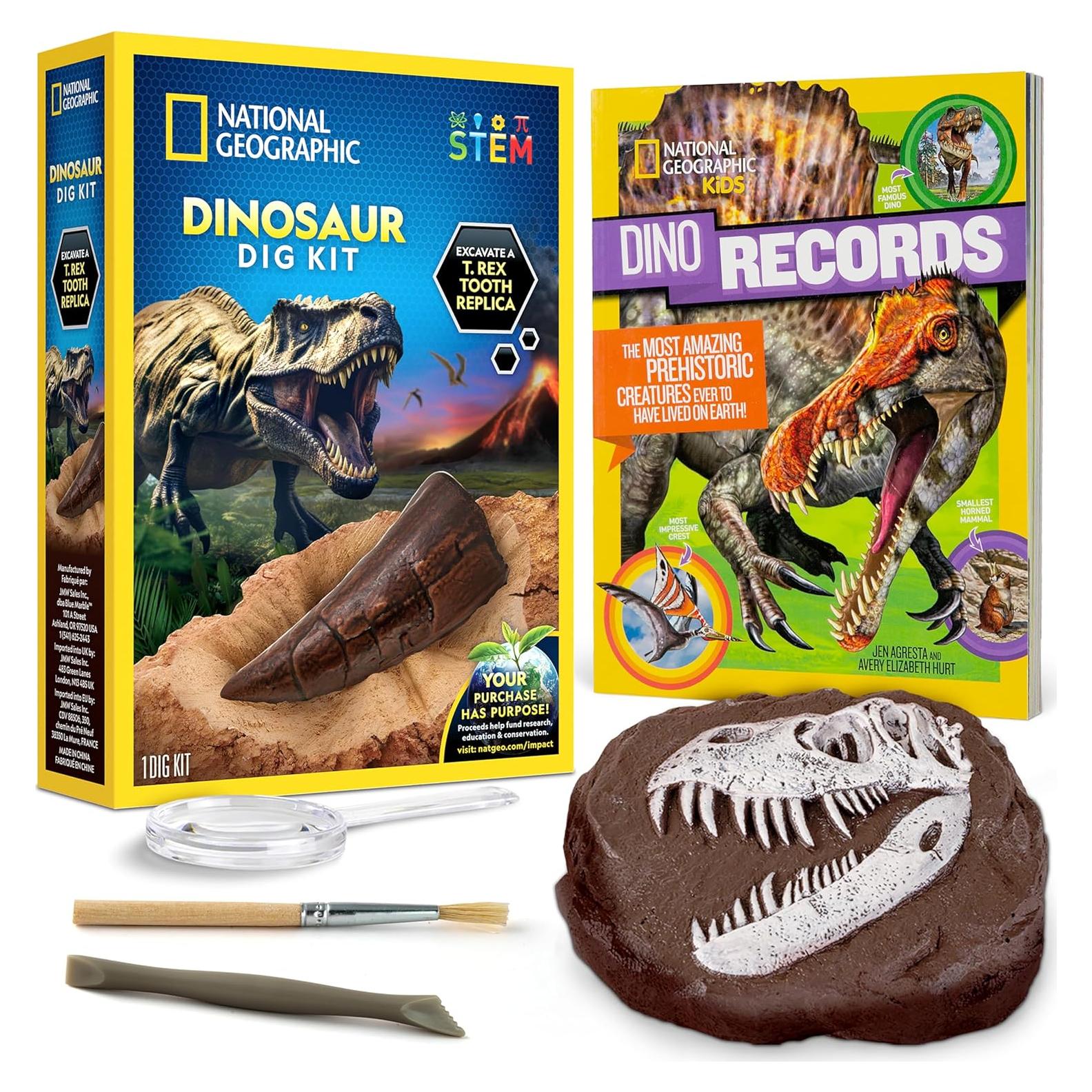 Kit de Excavación de Fósiles de Dinosaurio National Geographic - T. rex