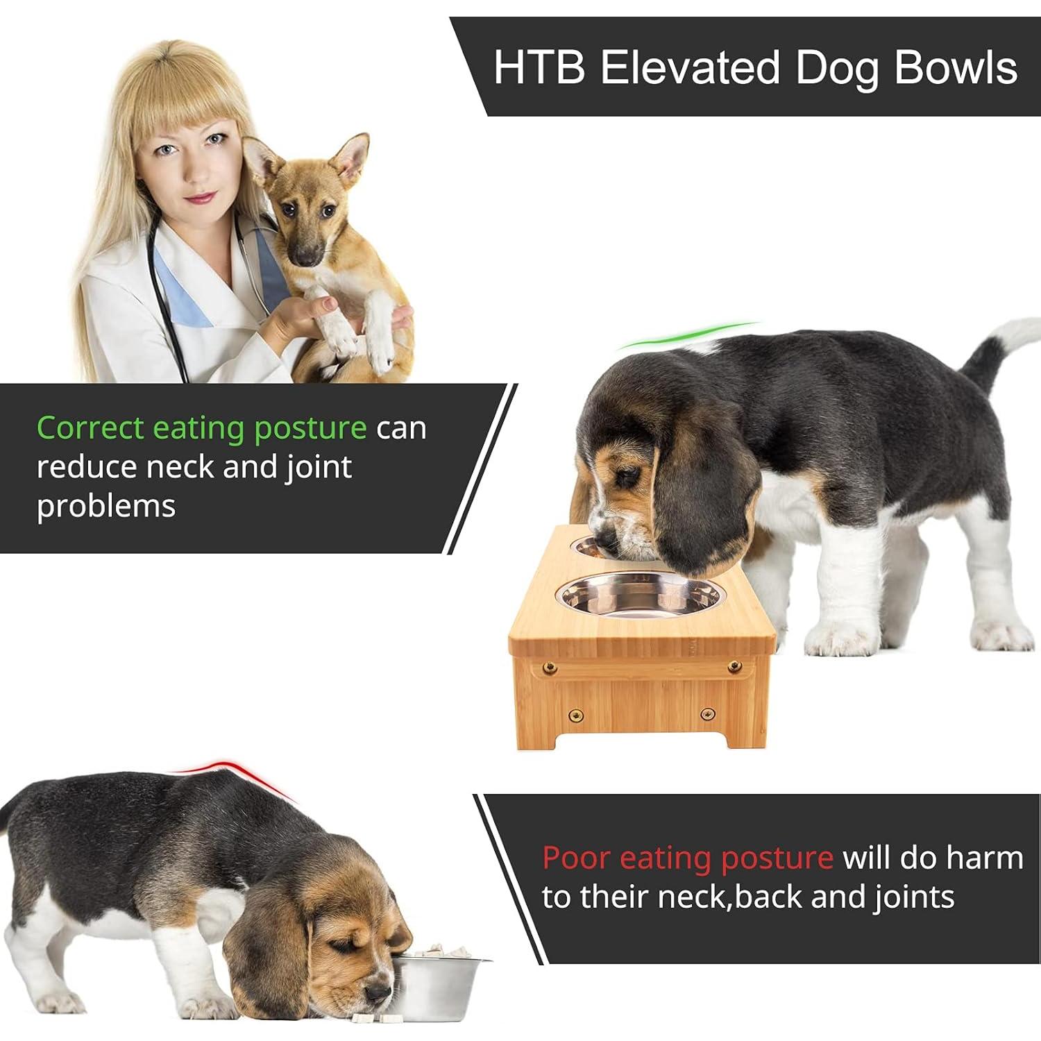 Soporte Elevado para Perros WYHTB con 2 Cuencos de Acero Inoxidable