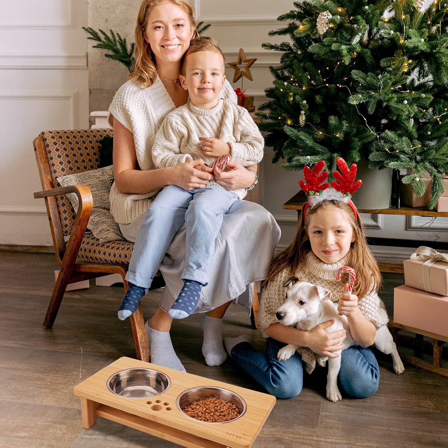 Soporte Elevado para Perros WYHTB con 2 Cuencos de Acero Inoxidable